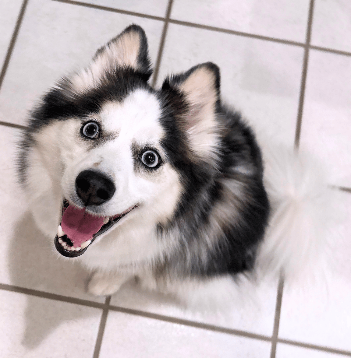 Blog 88 make you happy.png