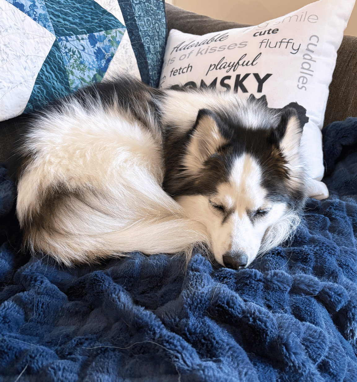 Blog 89 cozy.png
