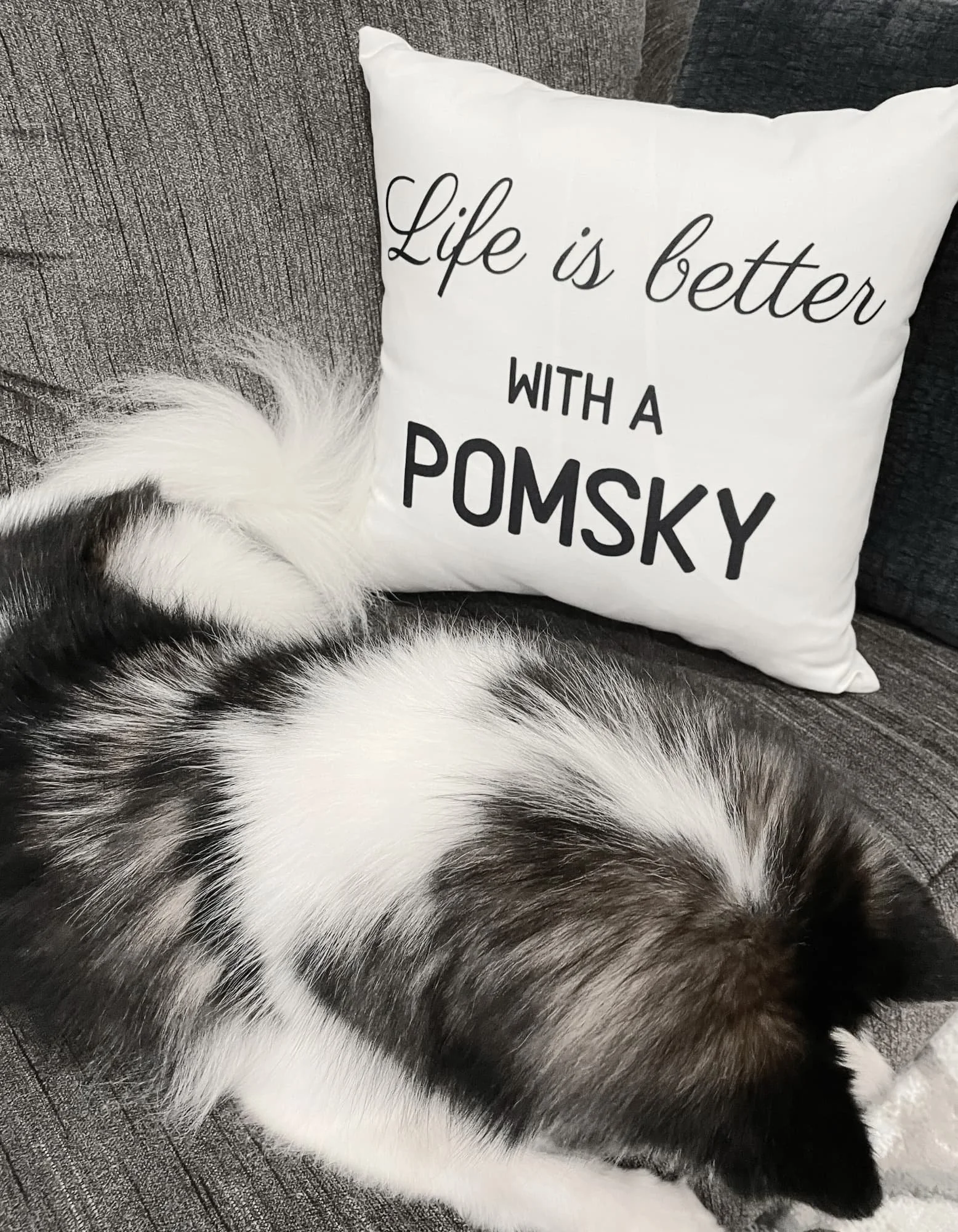 Better+with+a+pomsky+pillow+1_compressed.jpg