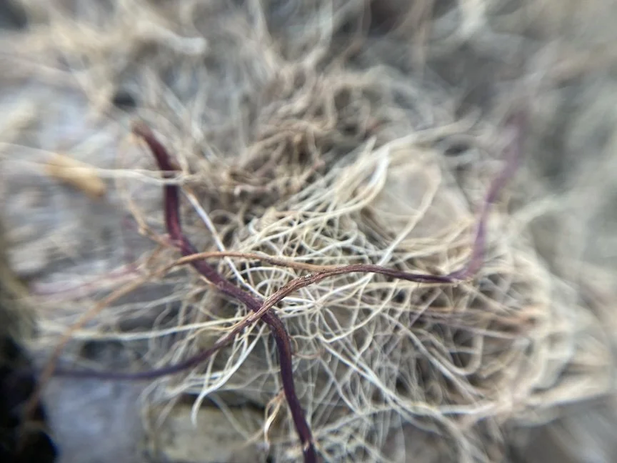 Field Guide: Material