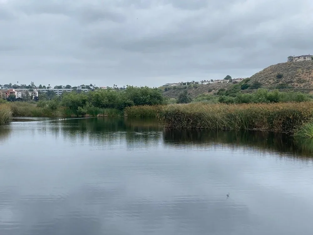 CAN WE THINK LIKE WATER