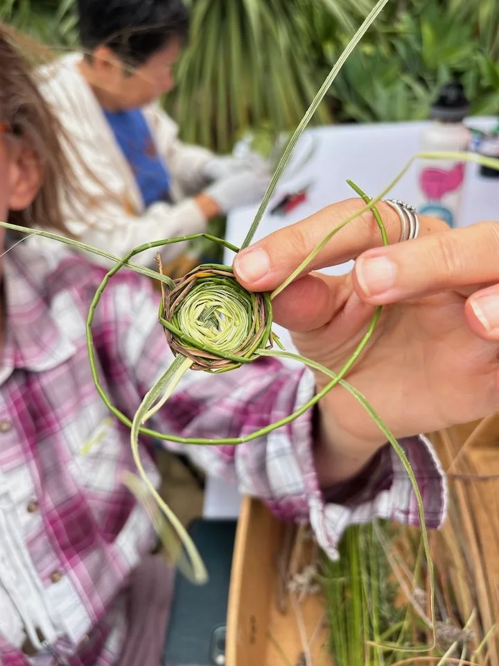 hand holding a sample of coiling fresh plant materials