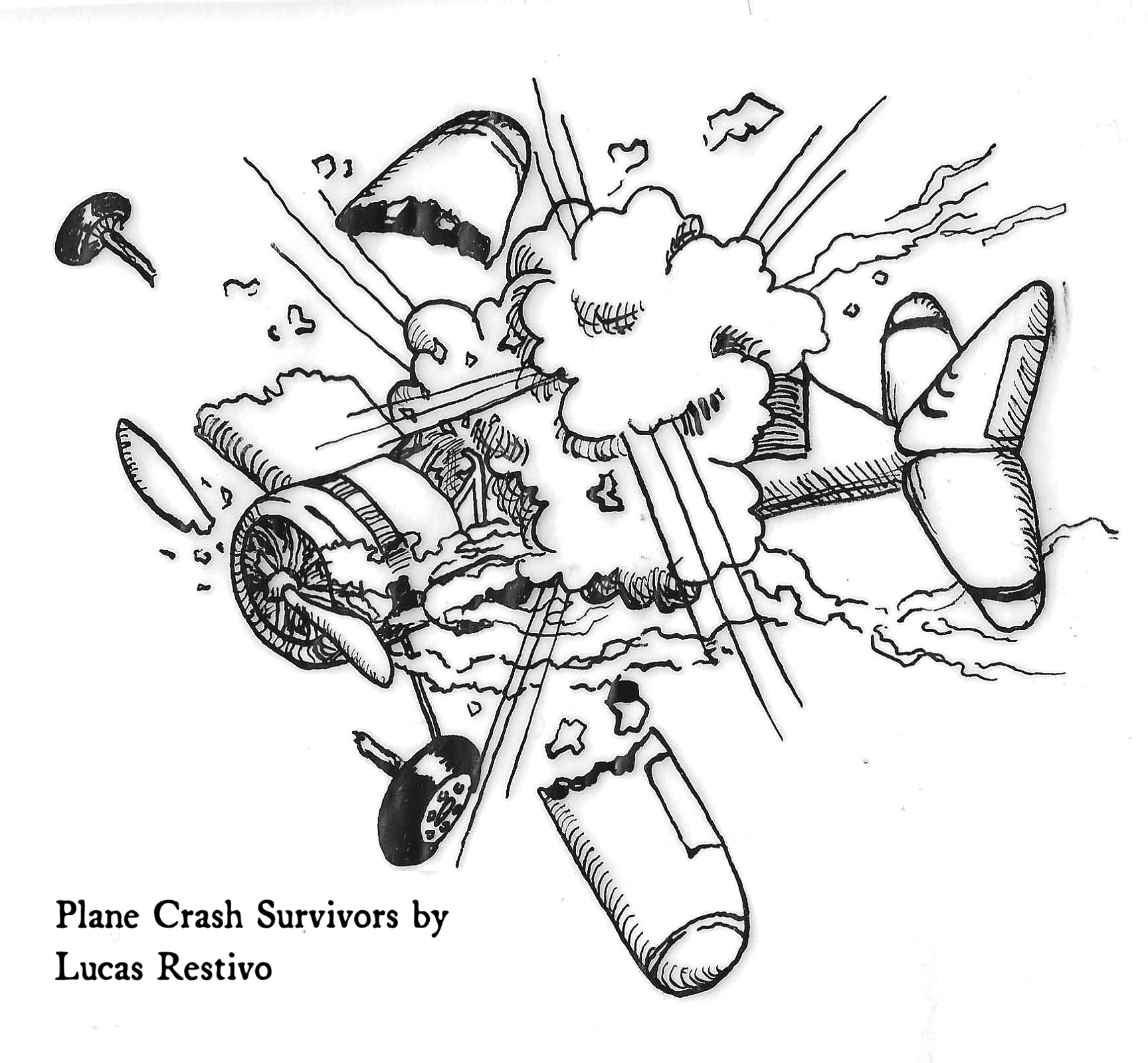 Plane Crash Survivors