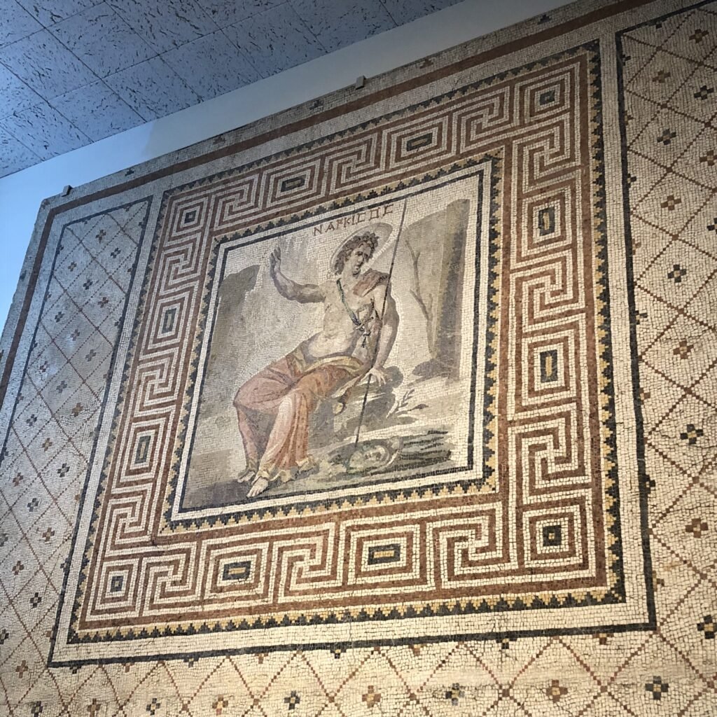House Groups in ArtStor: House of Narcissus