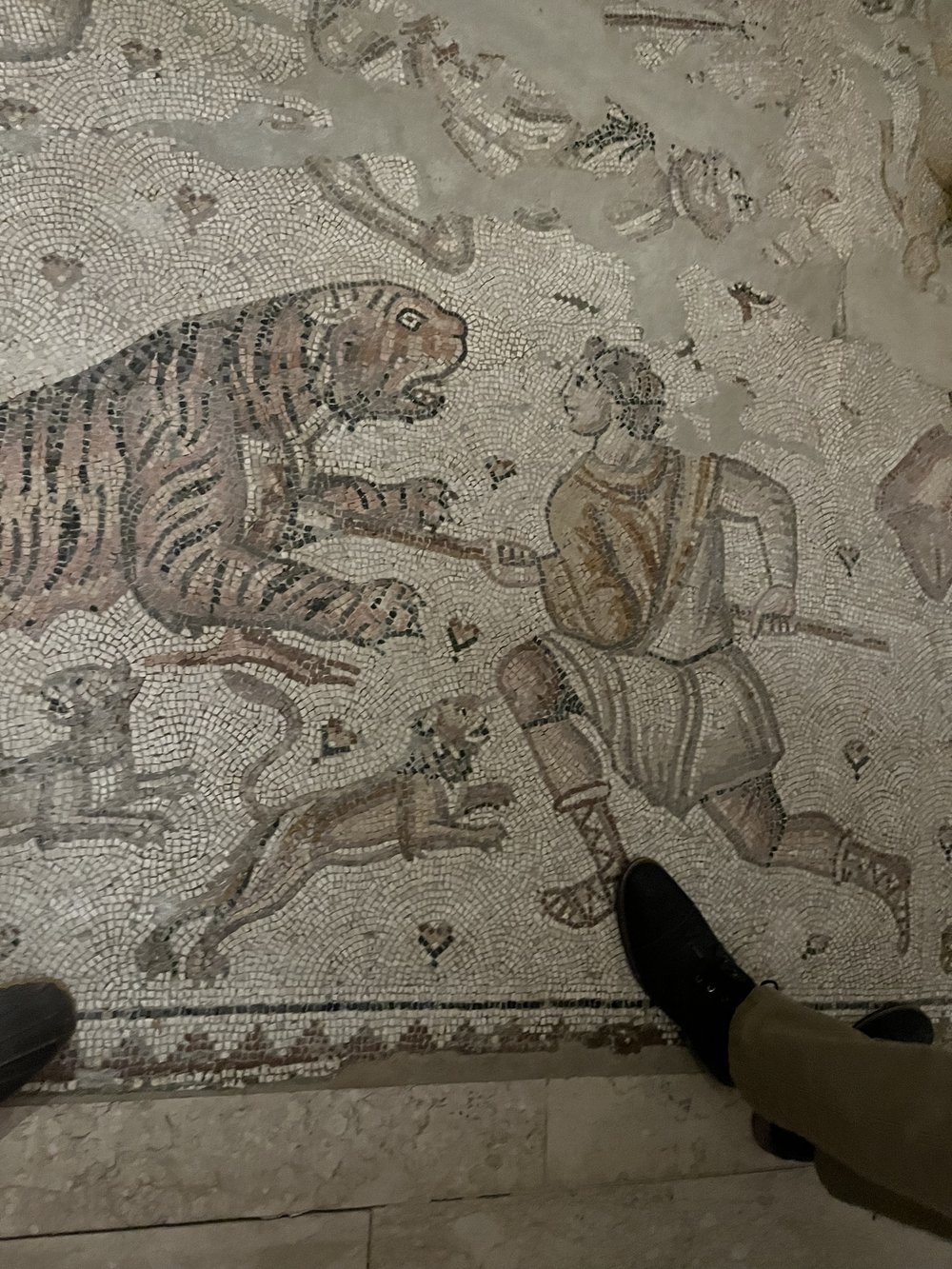 ARP.3 to DO_detail of hunt mosaic and mother tigress.jpg