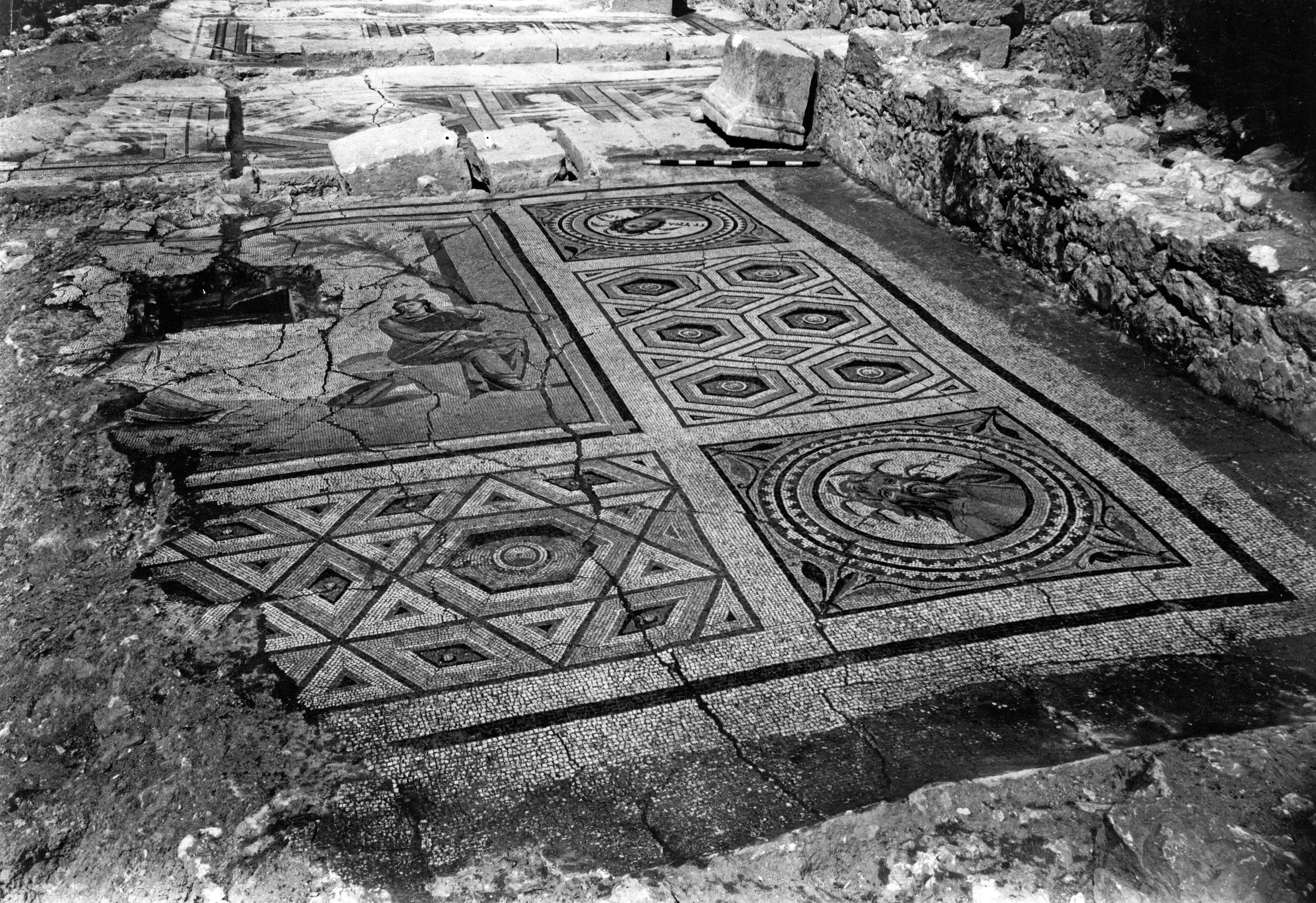 Tracing the Tigris