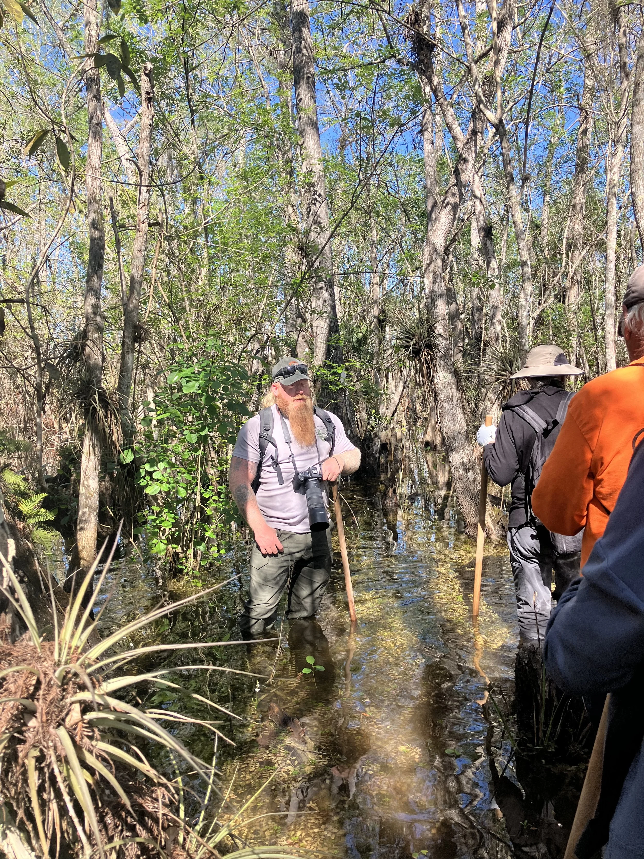 A group of people standing in a swampy, forested area with tall trees and clear water, some holding sticks, one man with a camera around his neck.
