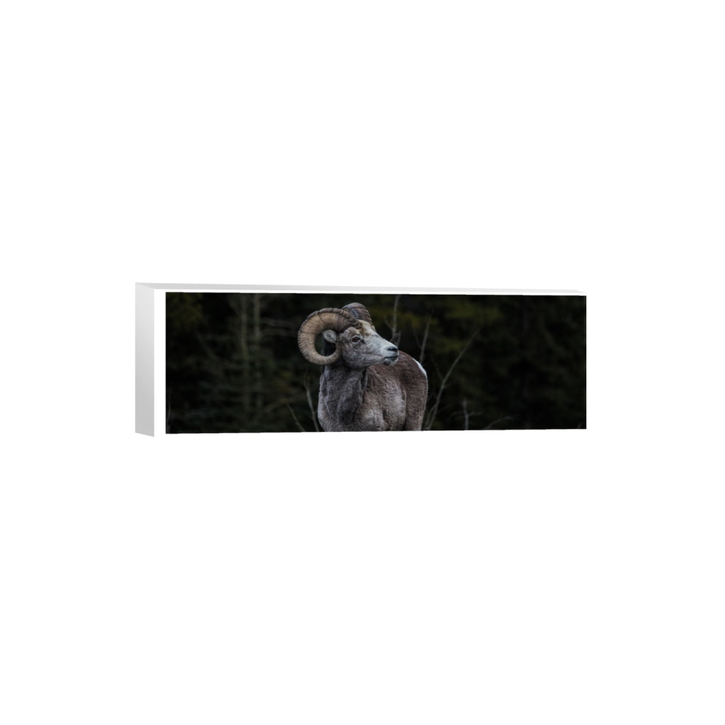 ptq_7_2_0_1448_6720_2240_0_true_ffffff_2_2_.png