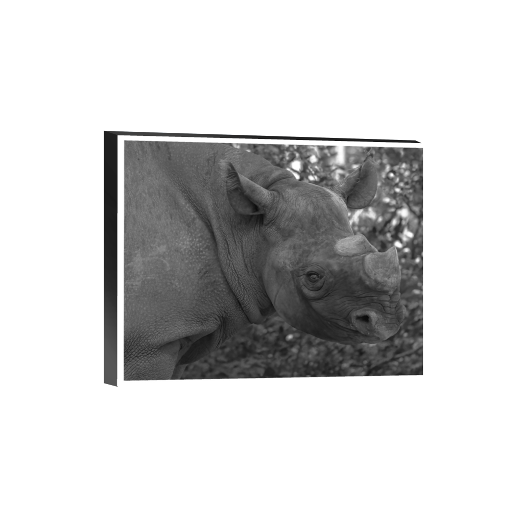 ptq_32_6_0_345_3456_2764_0_true_ffffff_2_2_.png