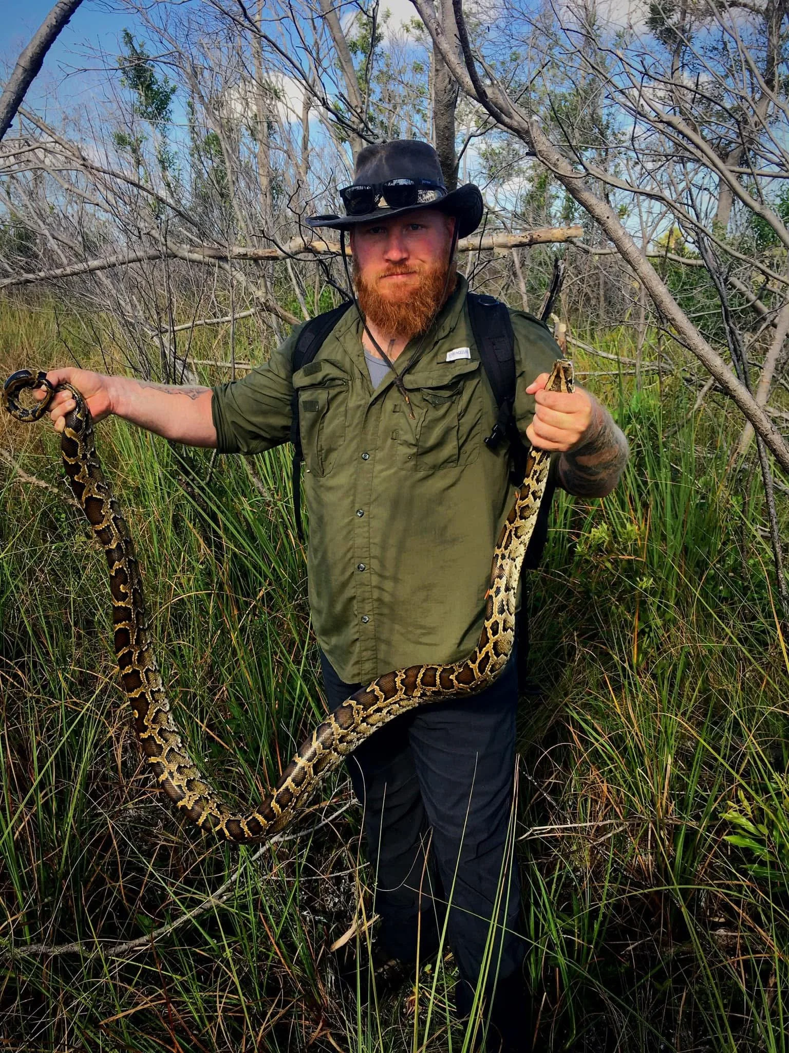 Man with a beard and sunglasses on his hat, wearing a green shirt with rolled-up sleeves and a backpack, holding a large snake in a grassy, wooded area.
