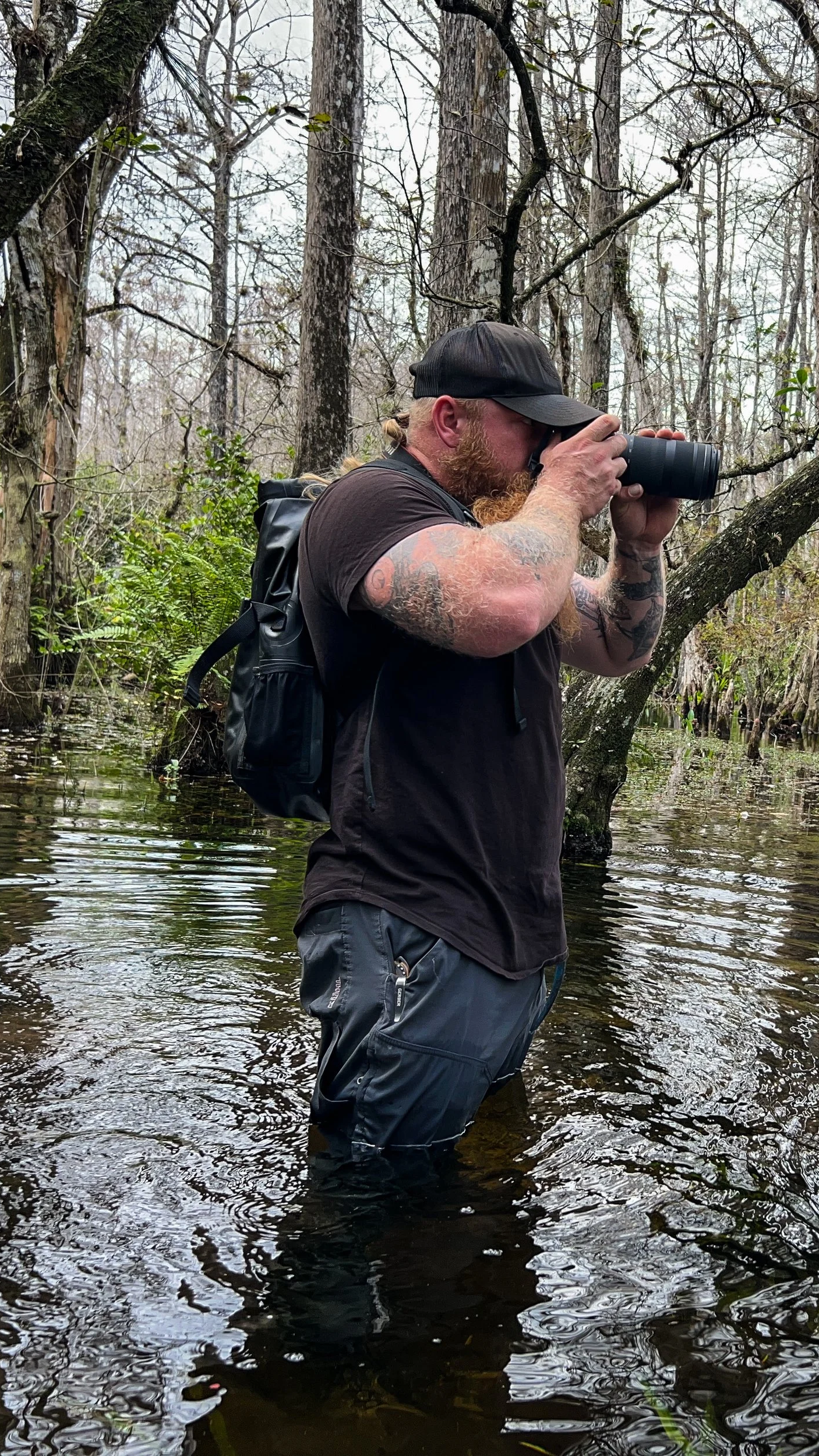 Man with a camera in water in a wooded swamp, wearing a black cap, black t-shirt, and gray cargo shorts, with a backpack.