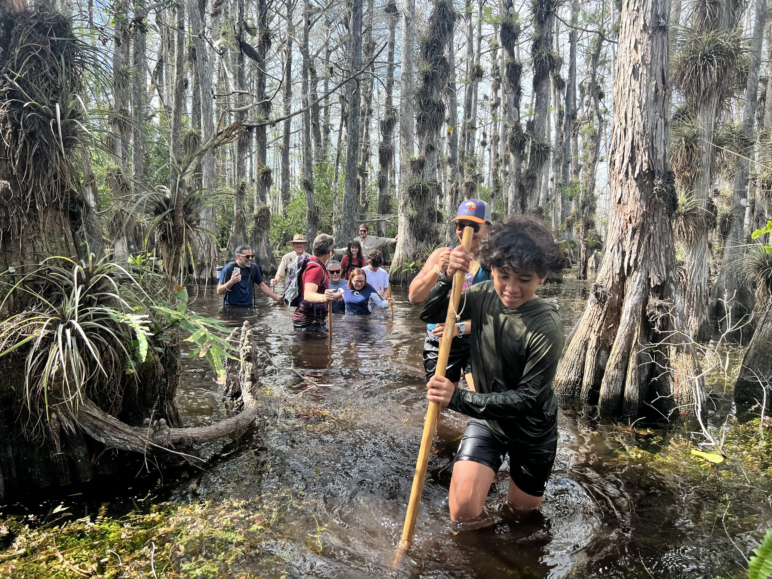 People hiking through a wet, swampy forest, wading through water among tall trees and dense vegetation.