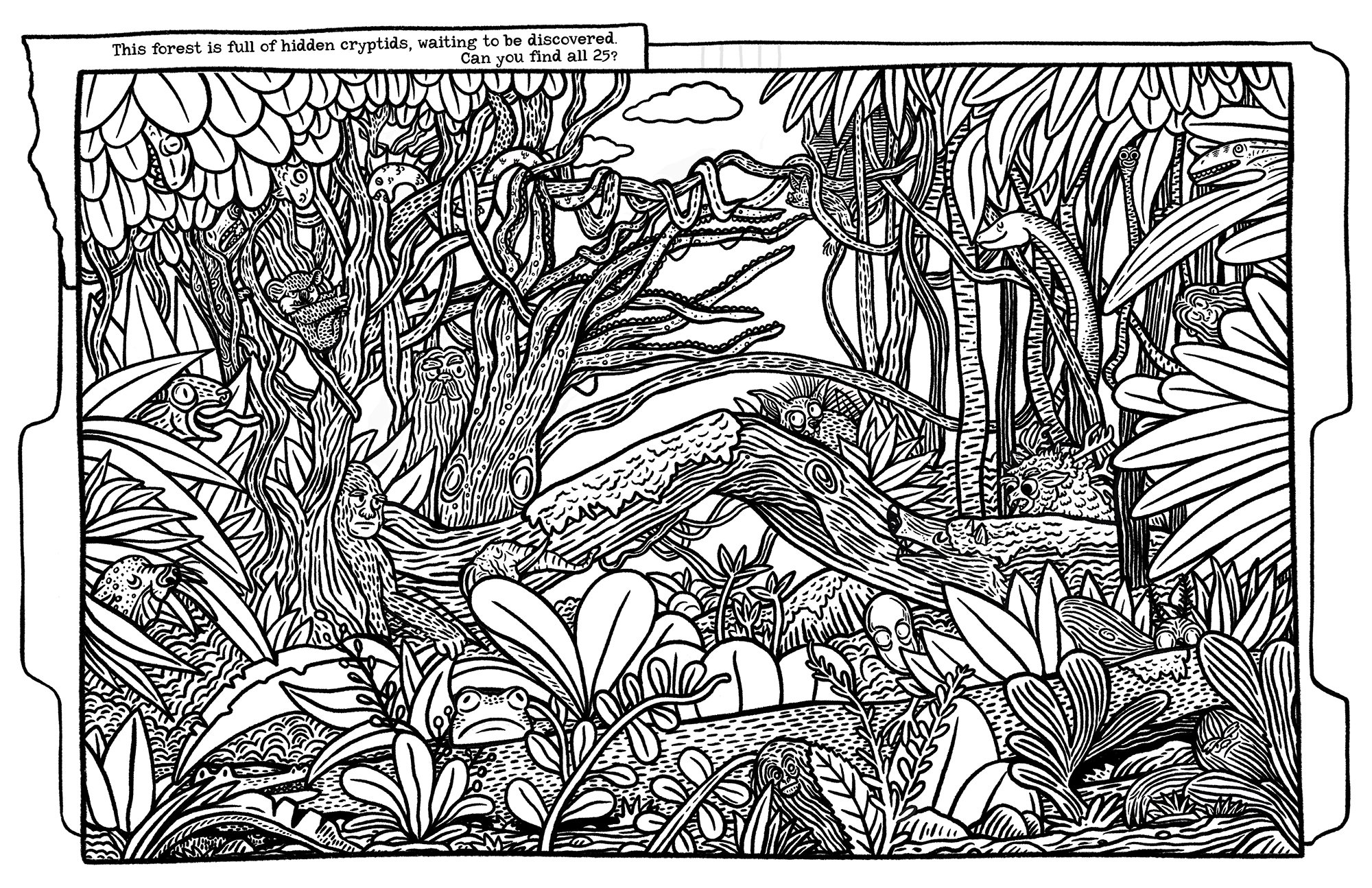 hidden-picture-spread-01-01-smaller.jpg
