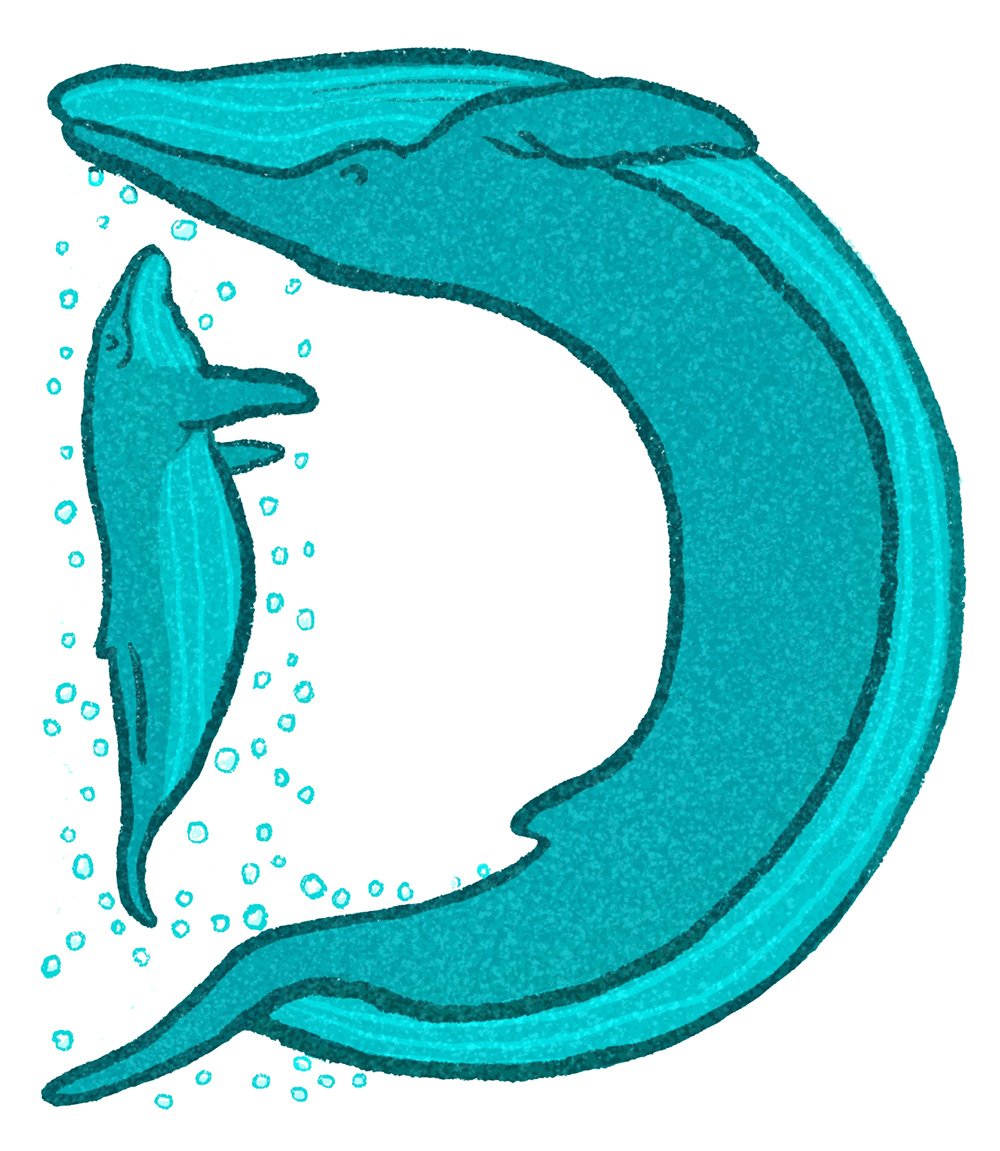 whales.jpg