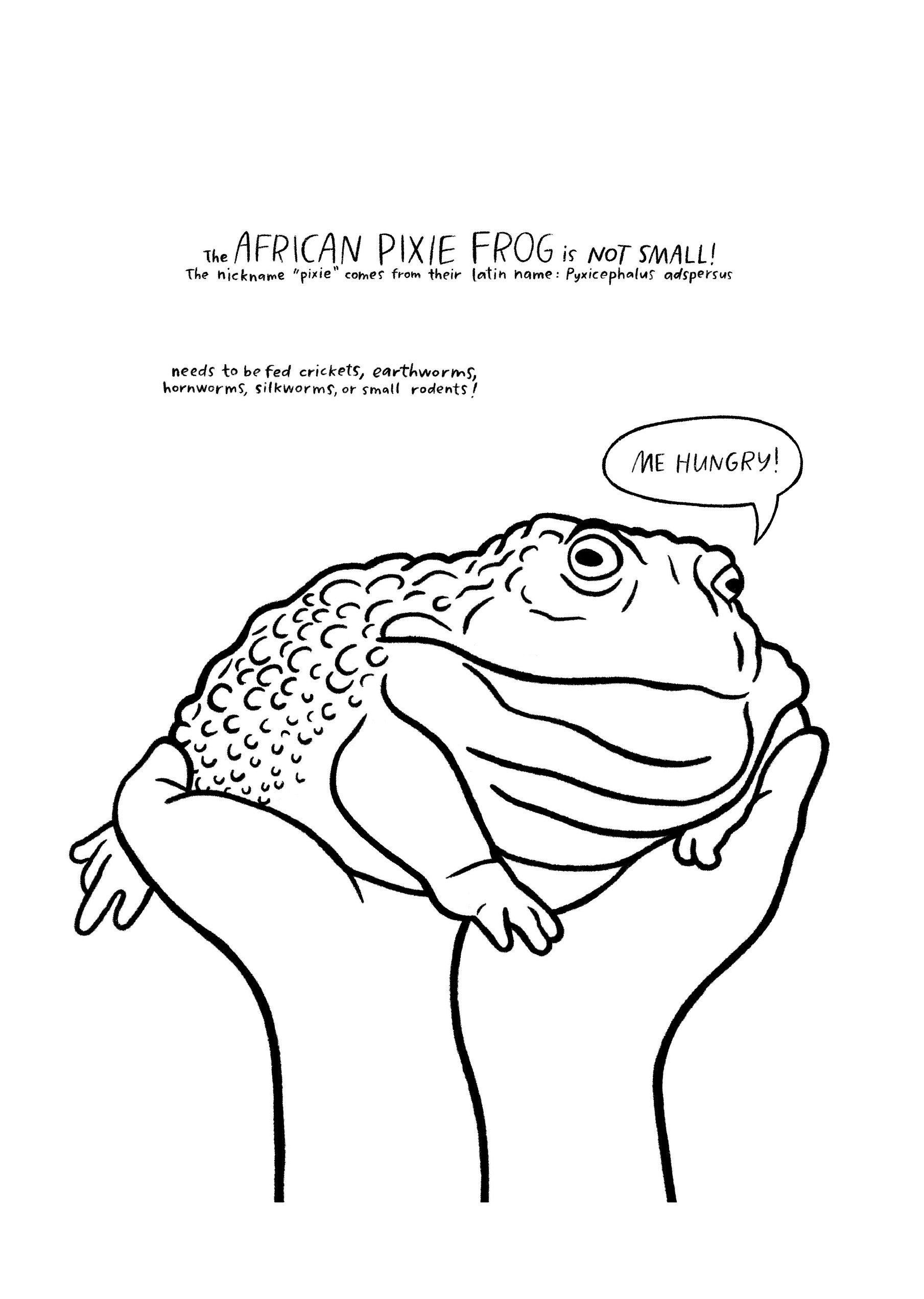 mikes-pages-19.jpg