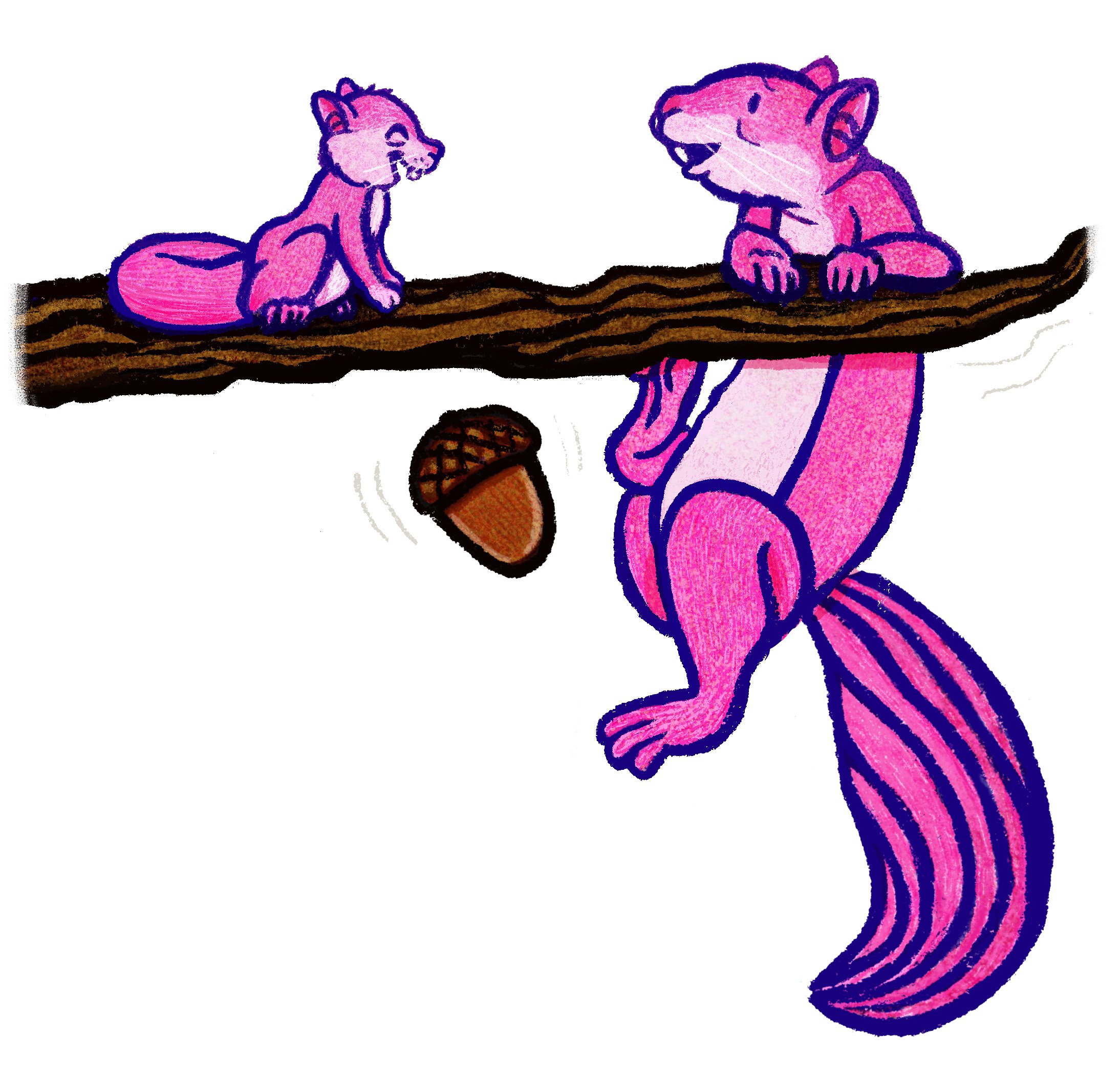 squirrels.jpg