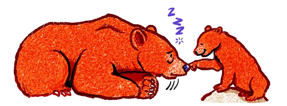 bears.jpg