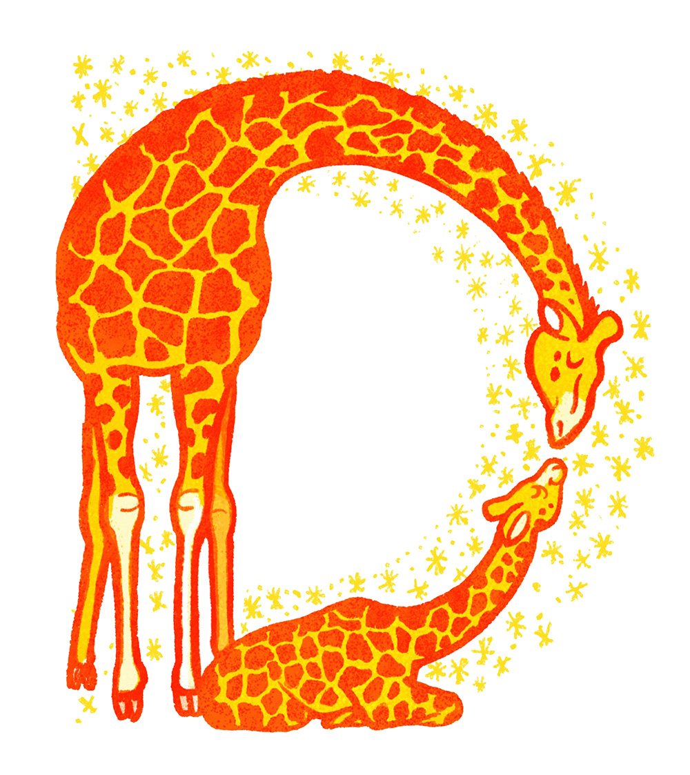 giraffes.jpg