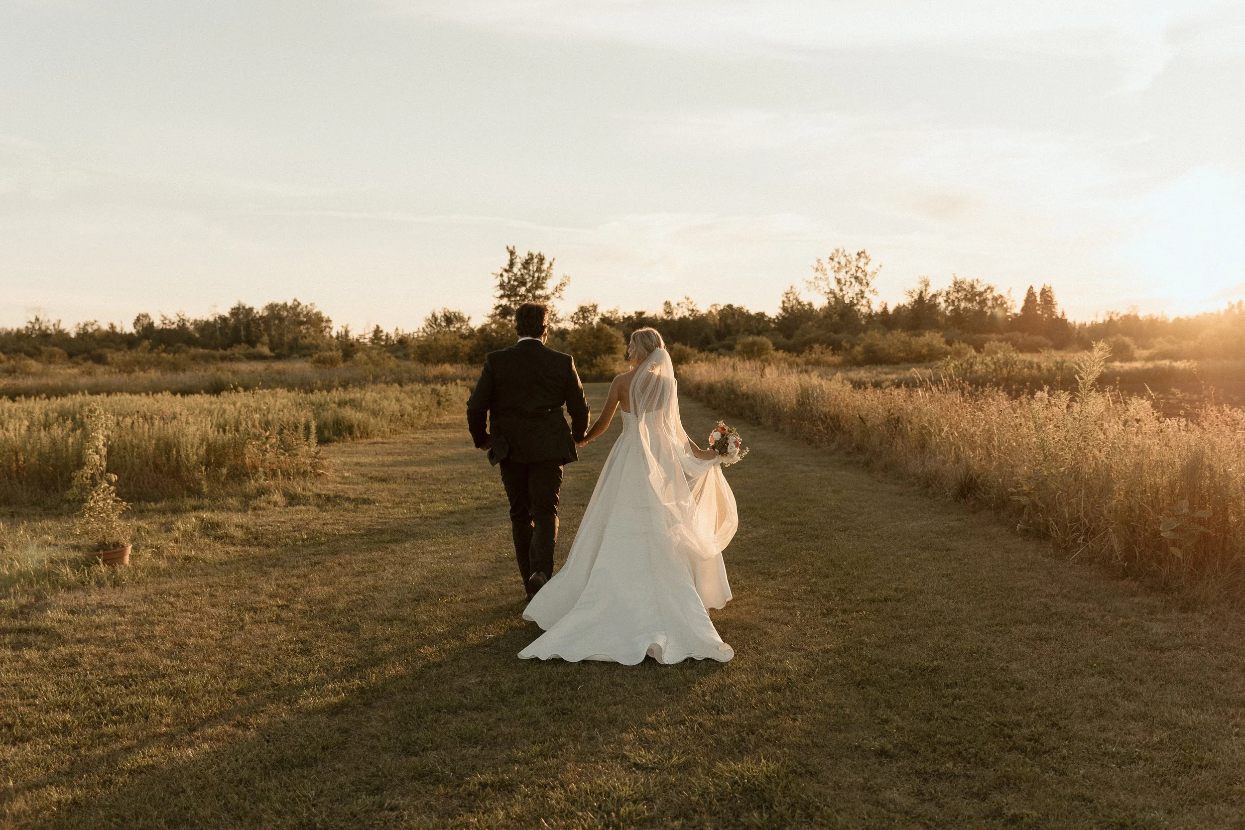 Couple walking together at sunset wedding photos in golden field Ontario