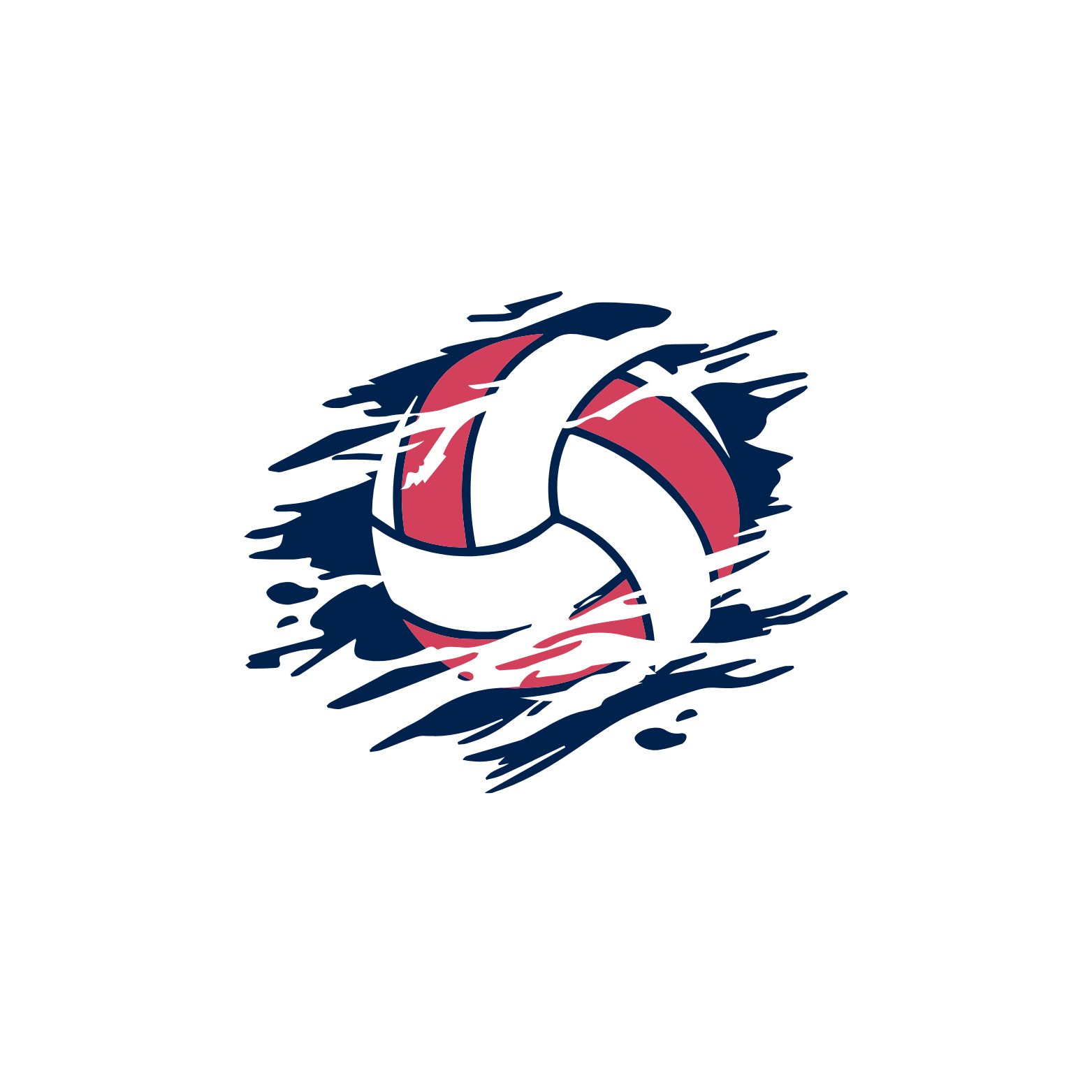 volleyball-clinics-amerisports