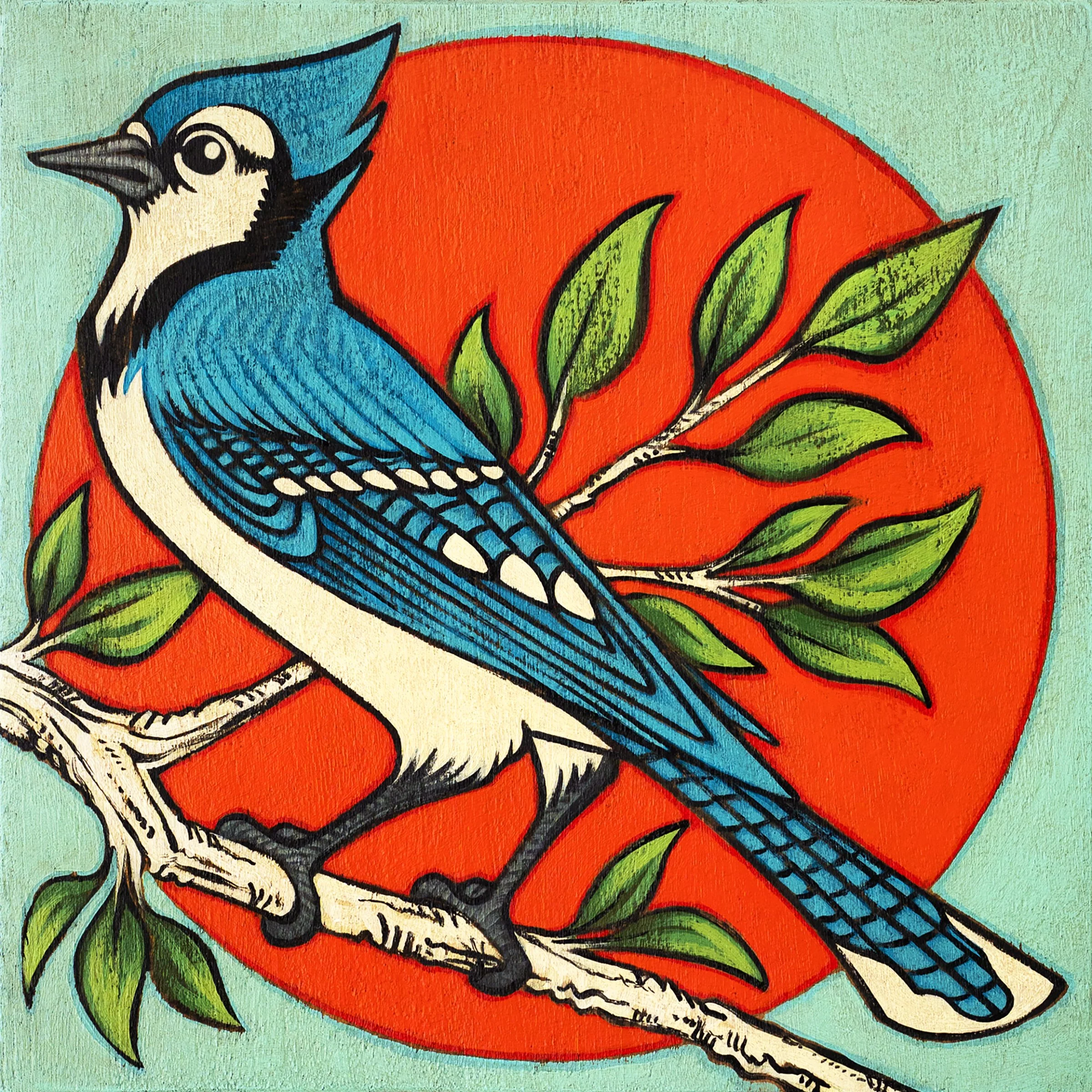 BlueJay6x6.jpg
