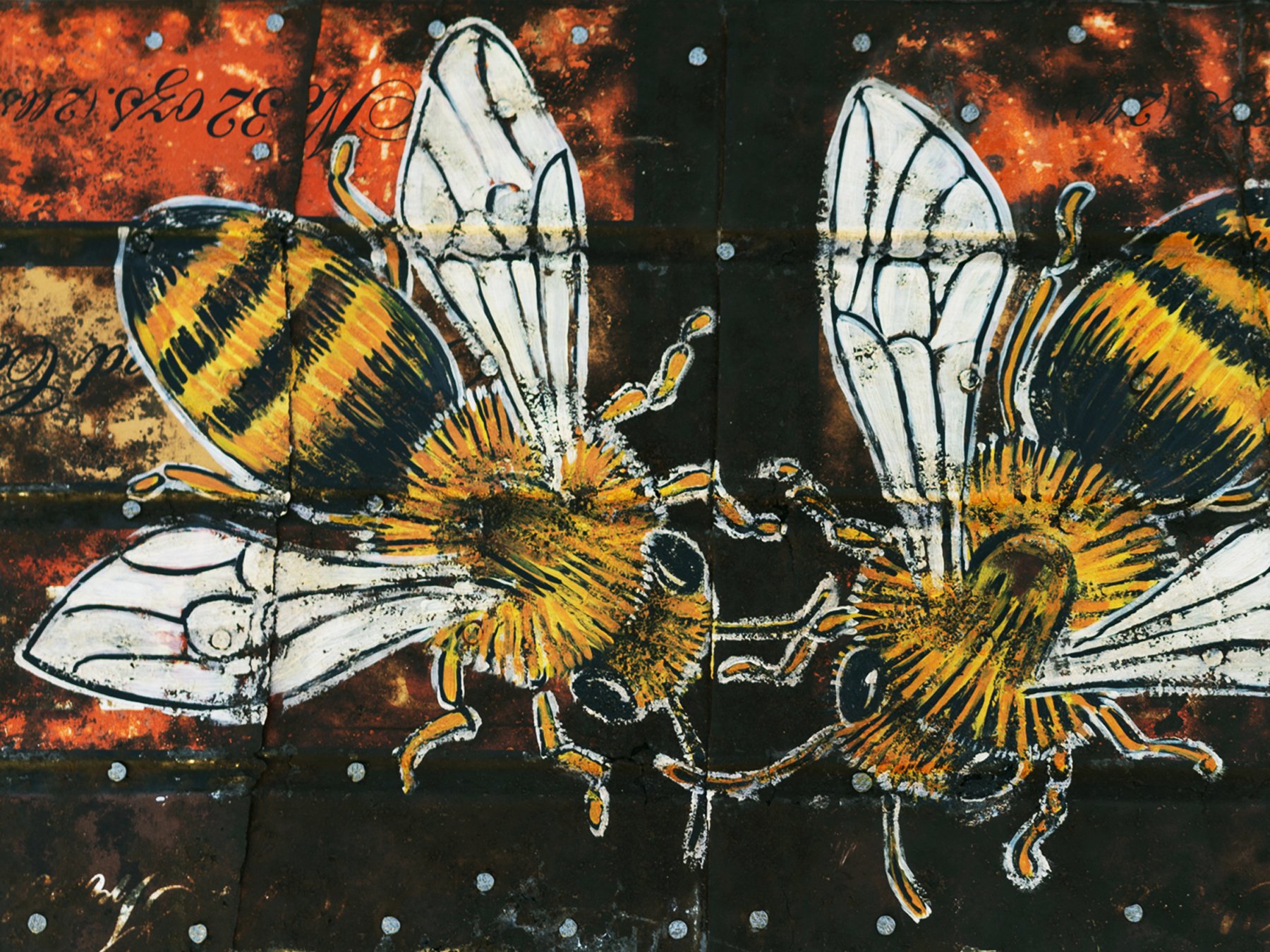 HONEY.BEES.COFFEE.TIN.2022.6x4.5.jpg