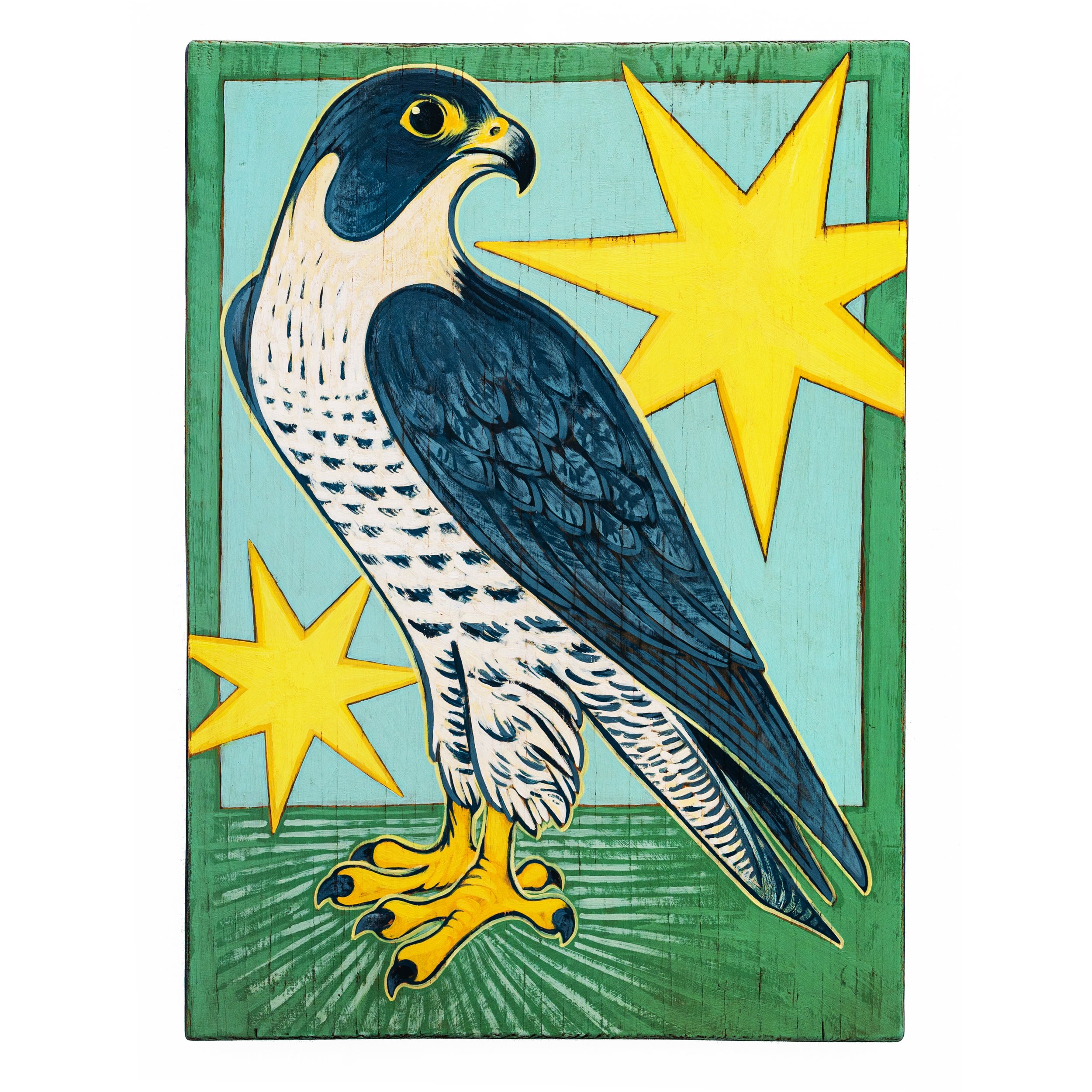 Peregrine Falcon (Enoch).jpg