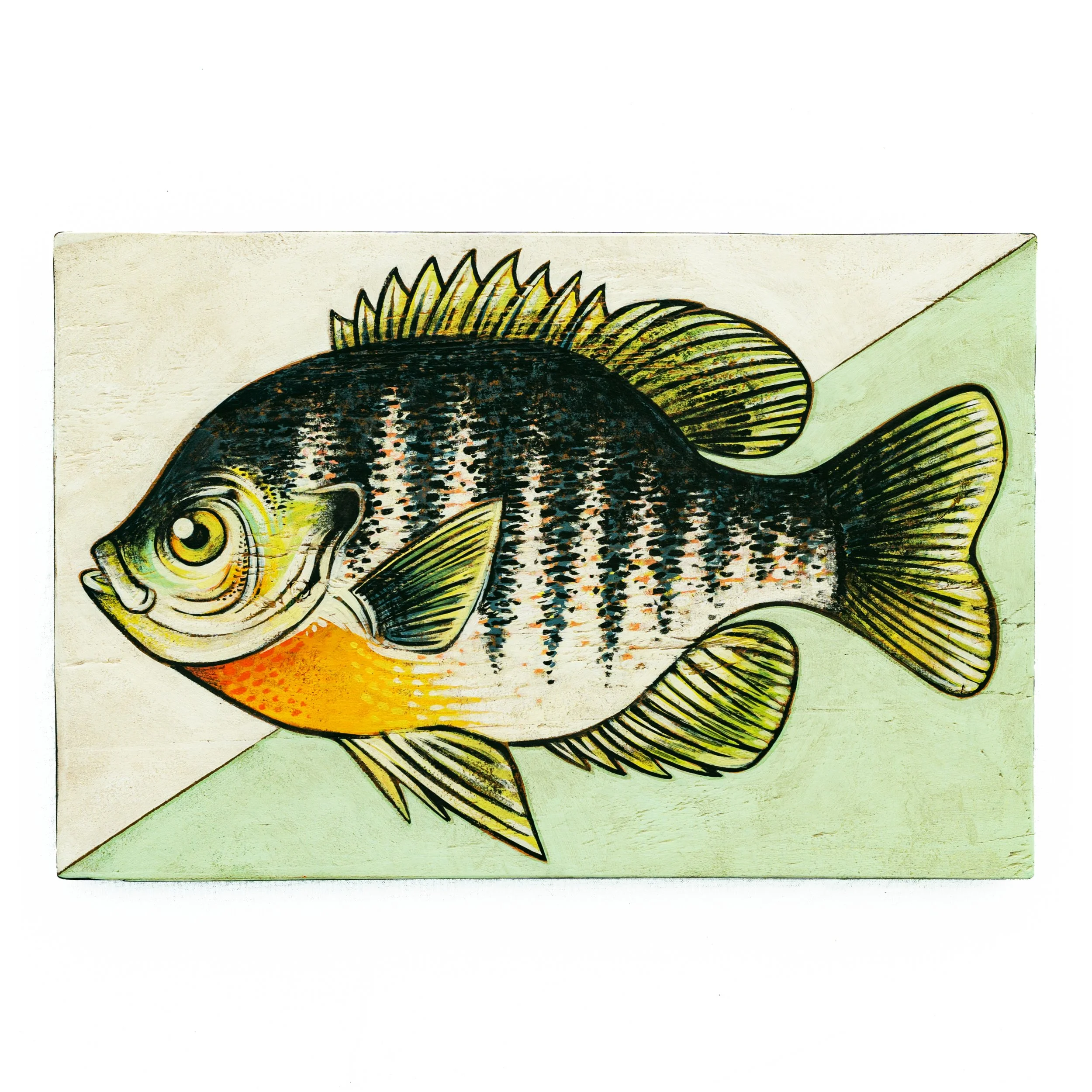 1Bluegill II.jpg