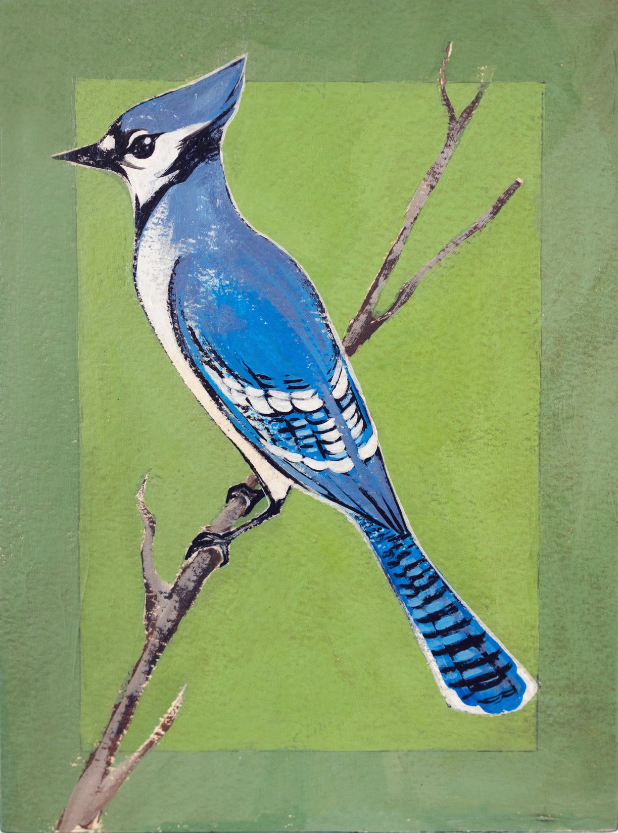 Levi Blue Jay copy.jpg