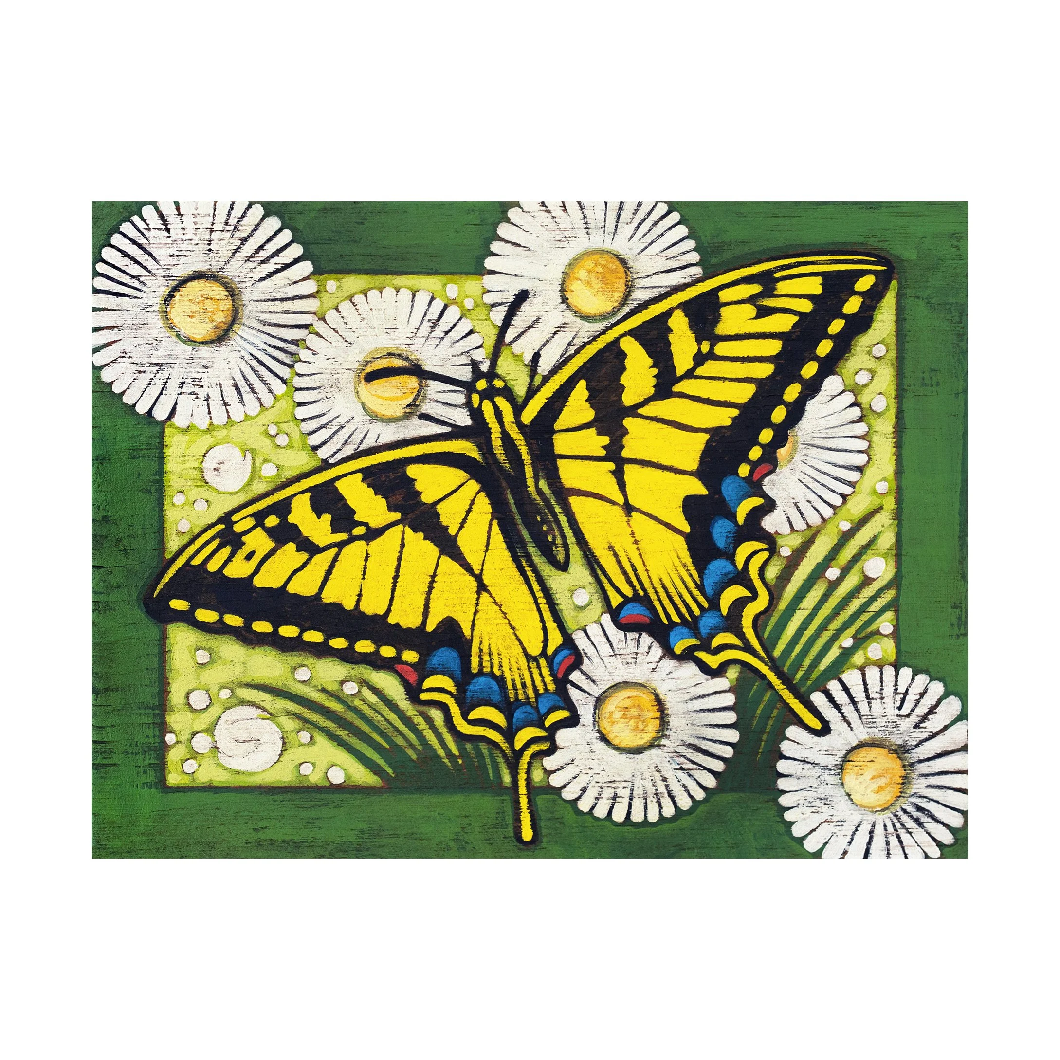 Tiger Swallowtailsquare.jpg