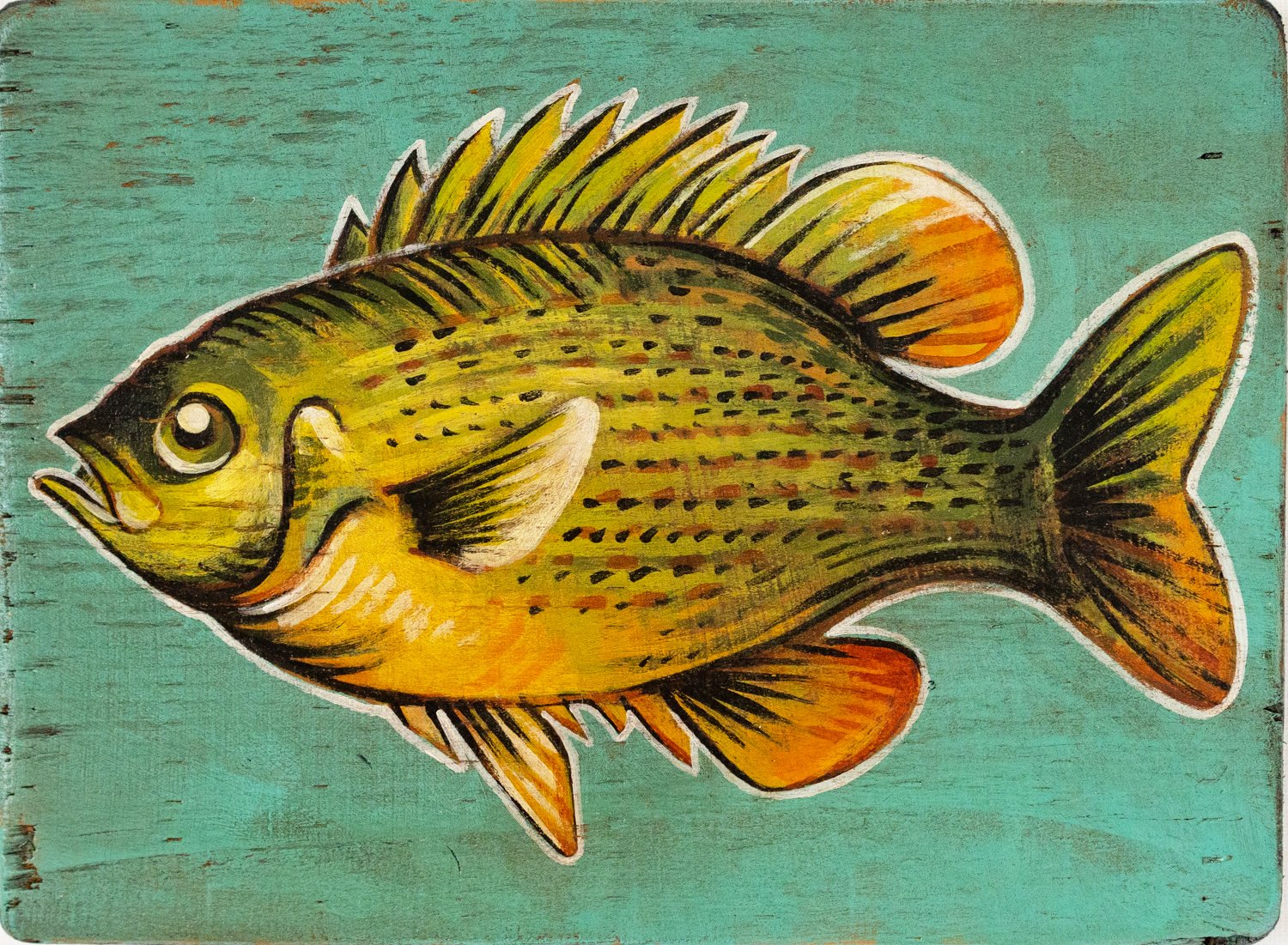sunfish2 copy.jpg