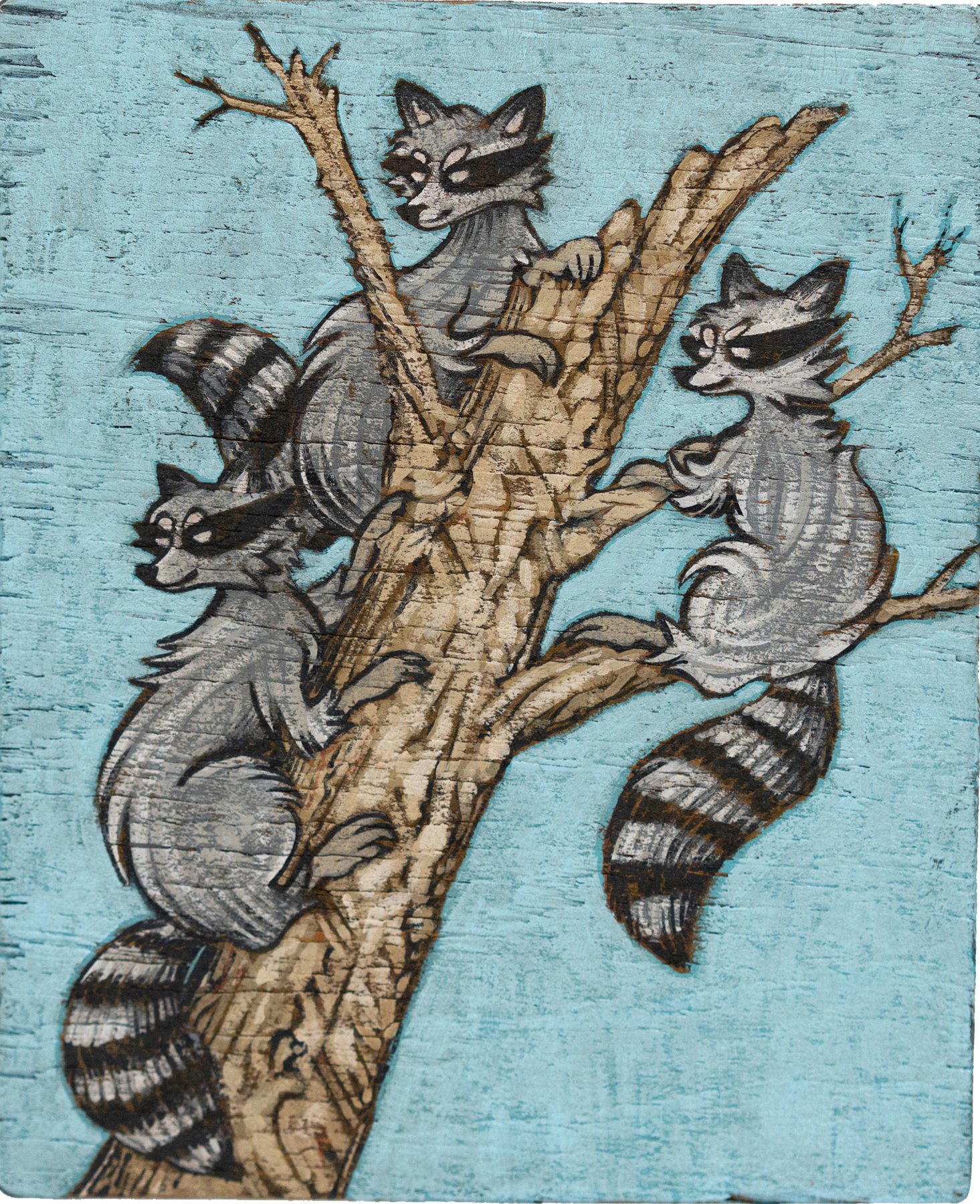 Raccoons 3 in a tree square blank back copy.jpg