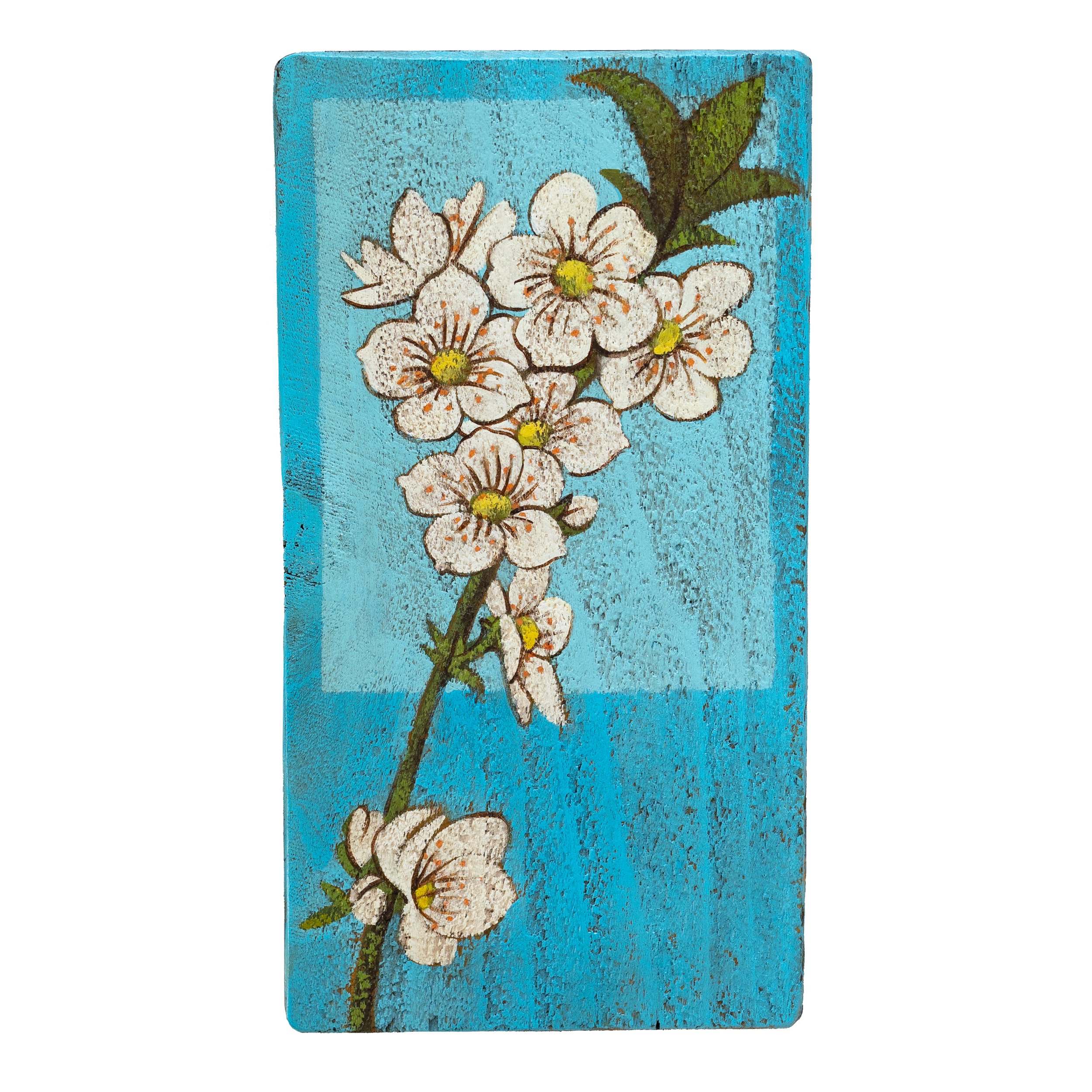 Apple Blossoms 2 medium website.jpg