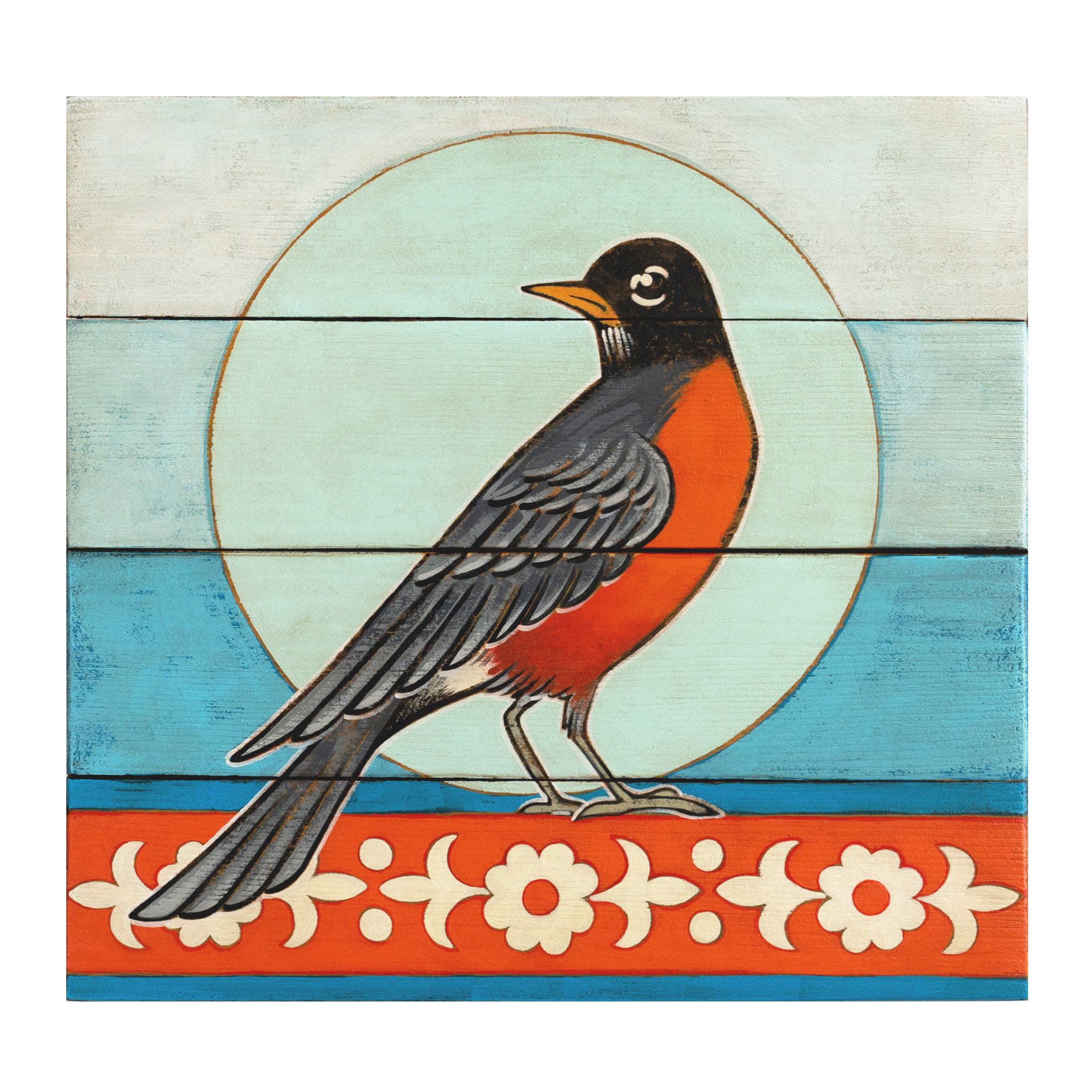 American Robin, v2.jpg