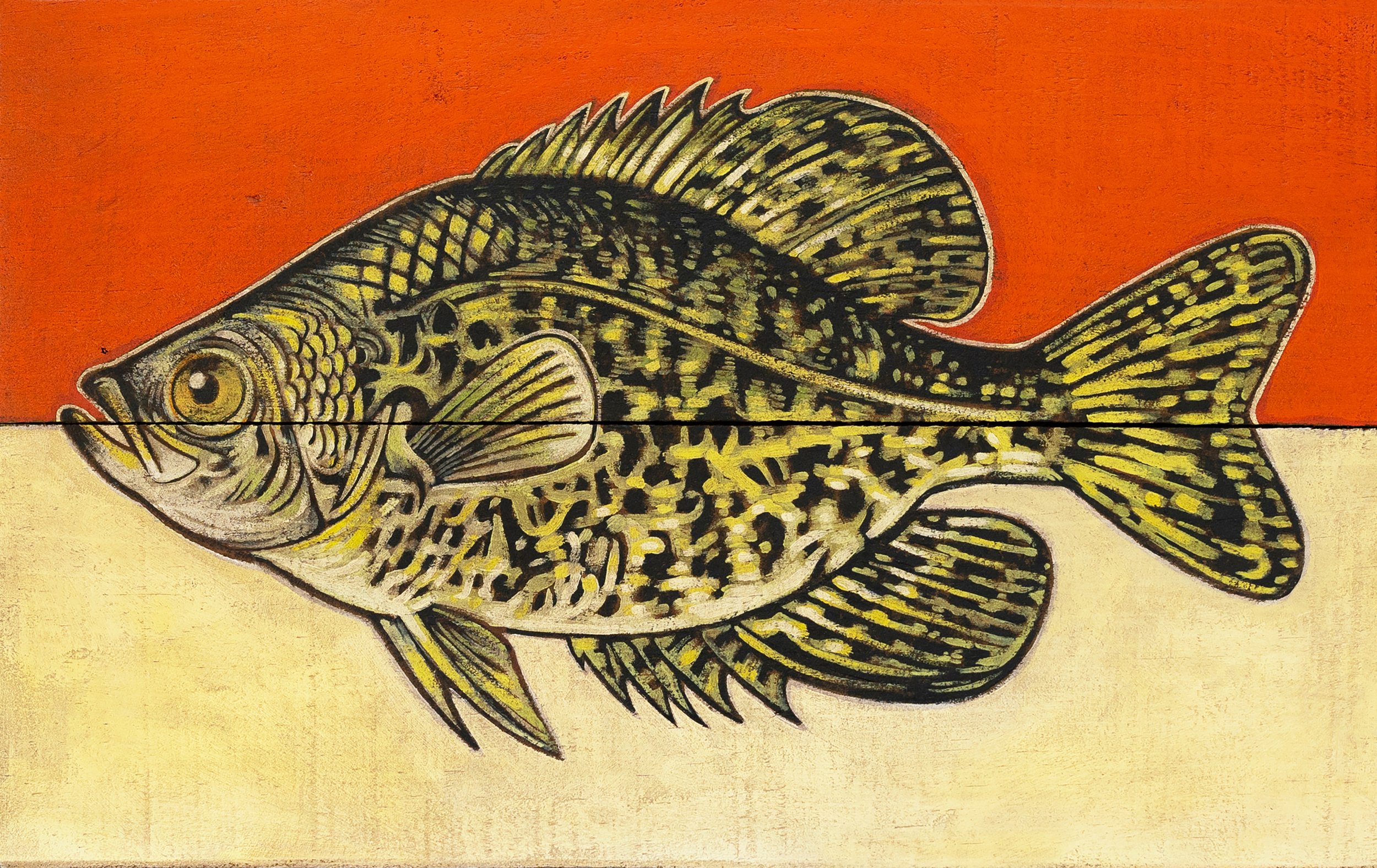 Black Crappie Clean Borderless.jpg
