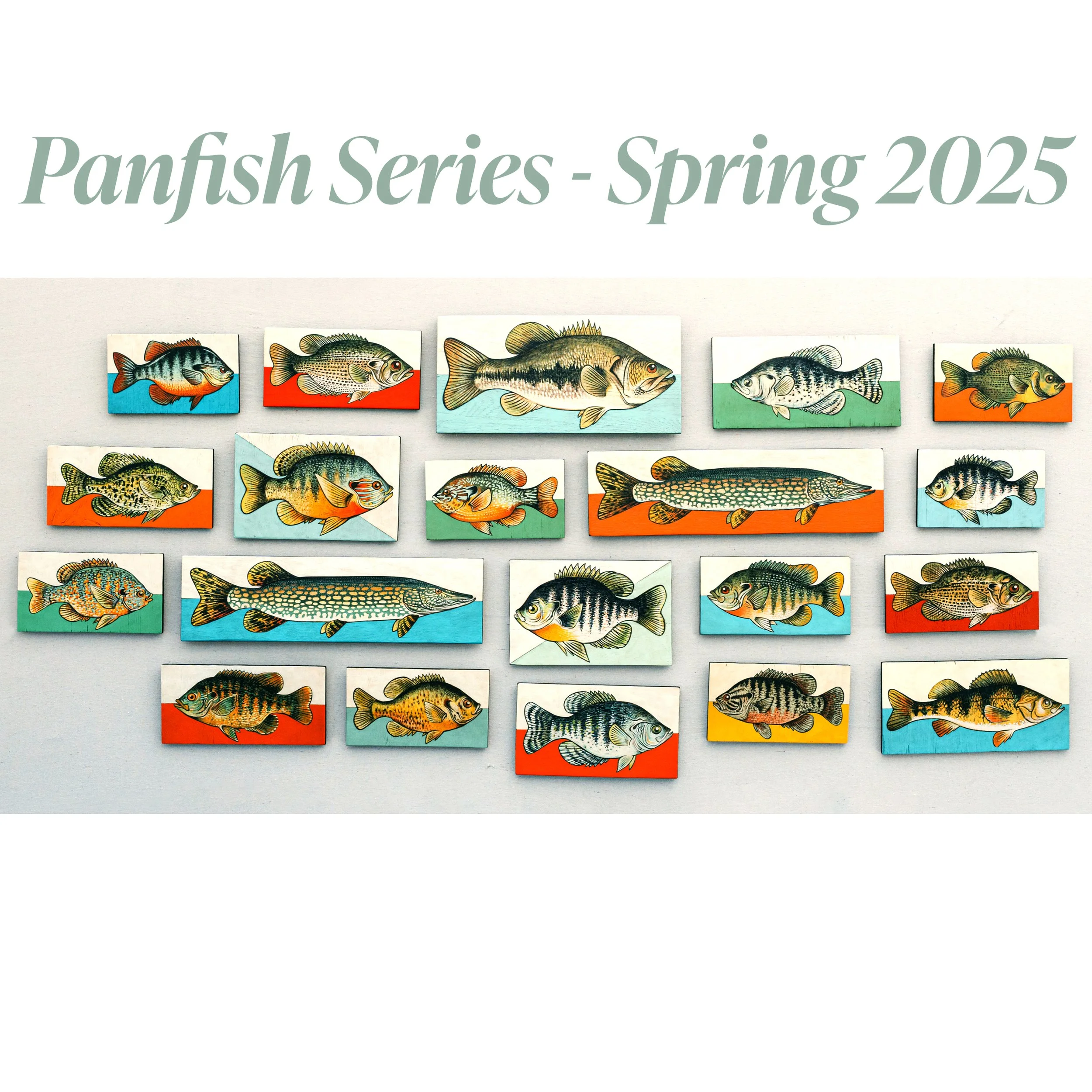 Panfish Serieswebsite.jpg