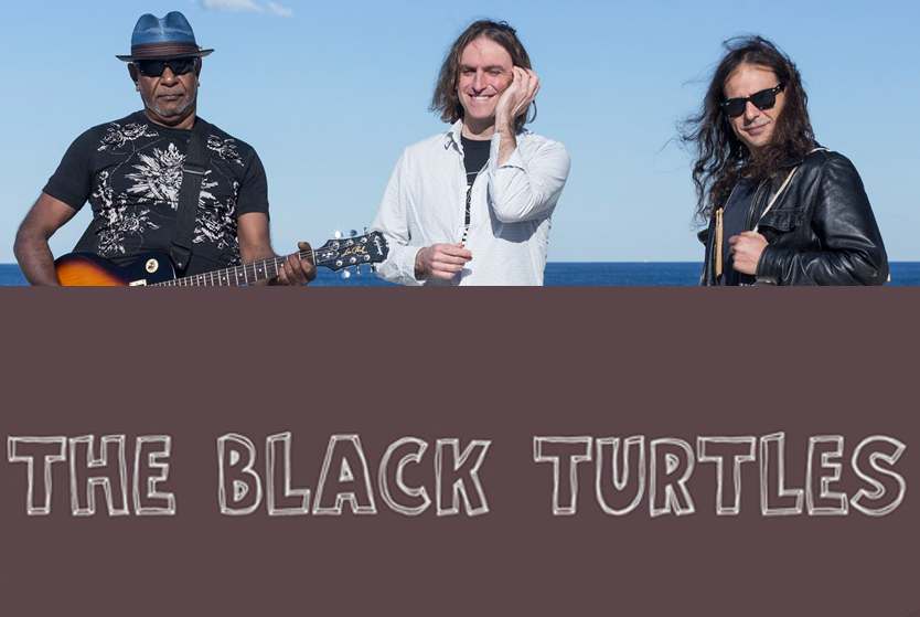 The Black Turtles