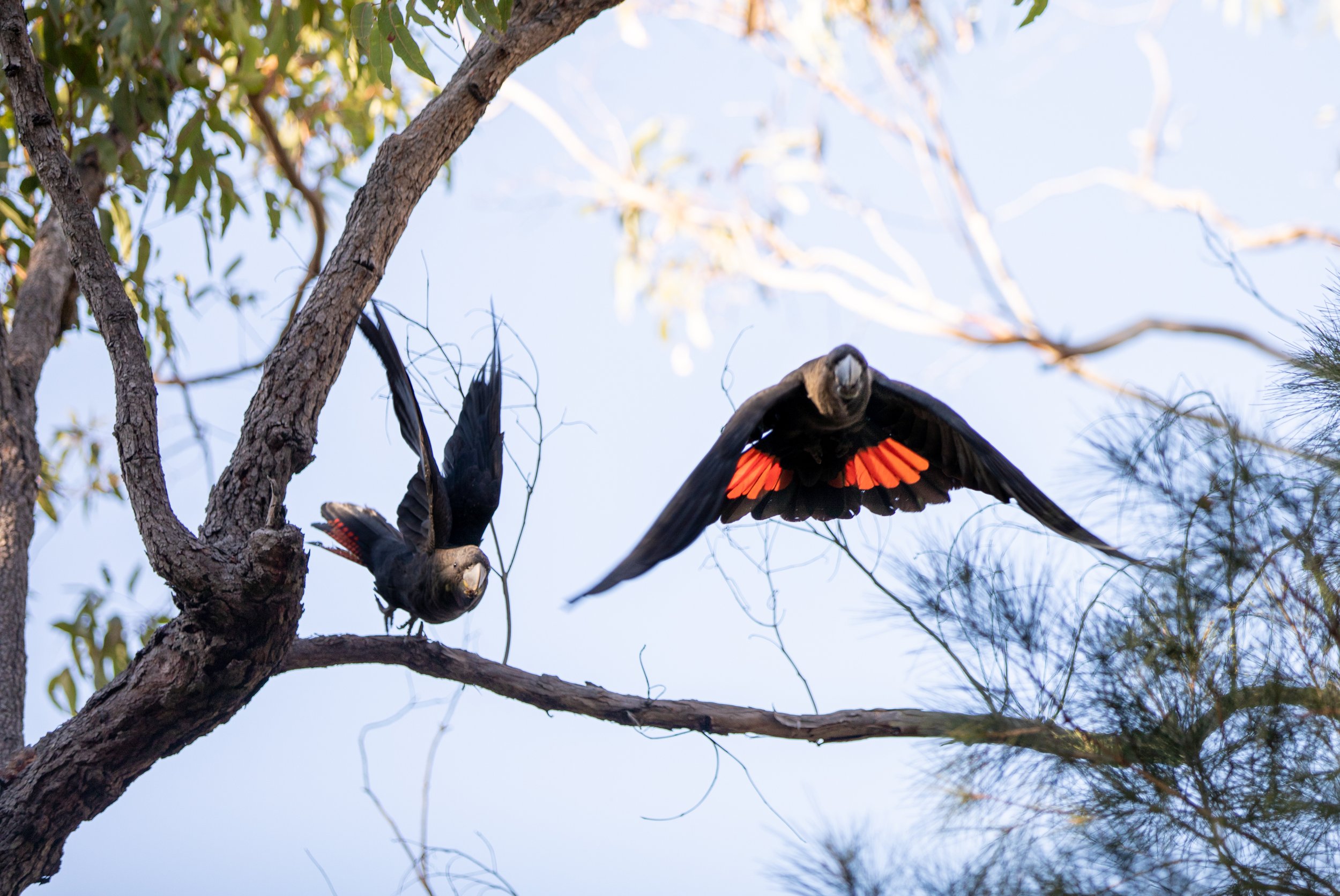 The Awakening 2023-114.jpg