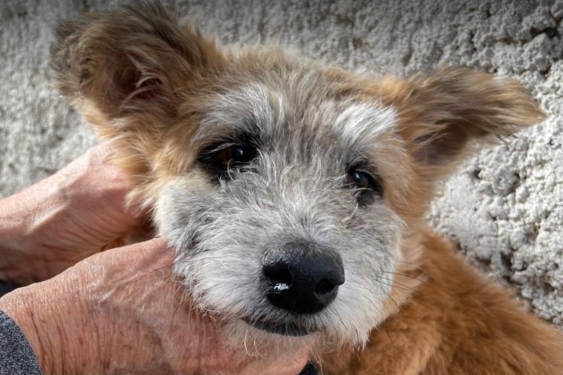 Screenshot 2024-01-20 at 4.12.04 PM.jpg