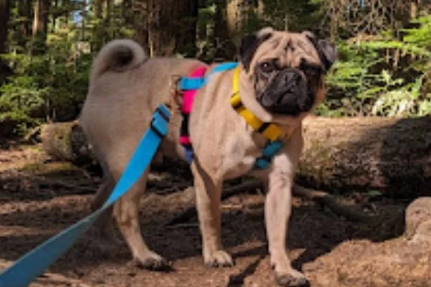 Screenshot 2024-01-20 at 4.09.57 PM.jpg