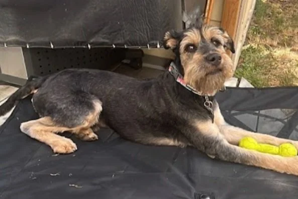 Screenshot 2024-01-20 at 4.09.02 PM.jpg