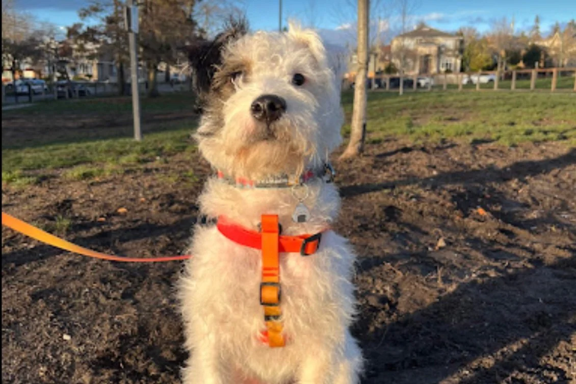 Screenshot 2024-01-20 at 4.02.31 PM.jpg