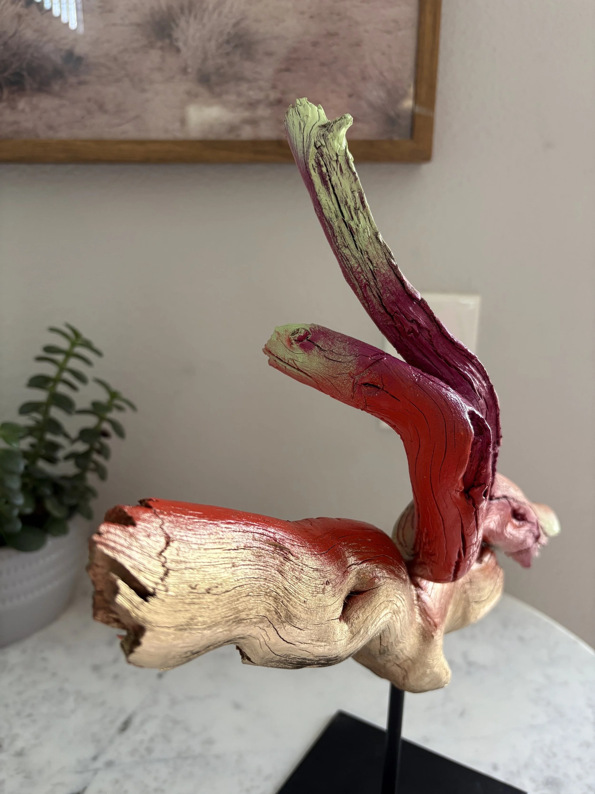 IMG_6862.jpeg