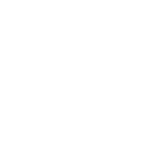 Surfing With Noz