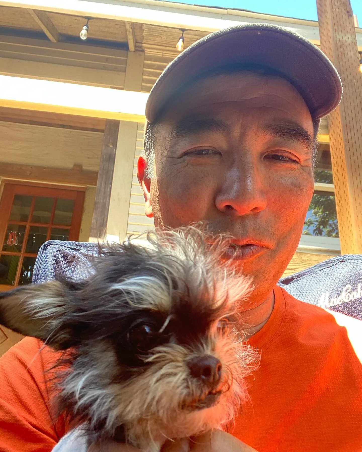 Say Hello to Noemie ( 2 yr old Yorkie) and Teya (1.5 yr old Island Mutt) who are part of a pack of rescues learning to integrate with one another! Noemie is sweet and affectionate but can bark with the best when emotional. Teya loves attention and is