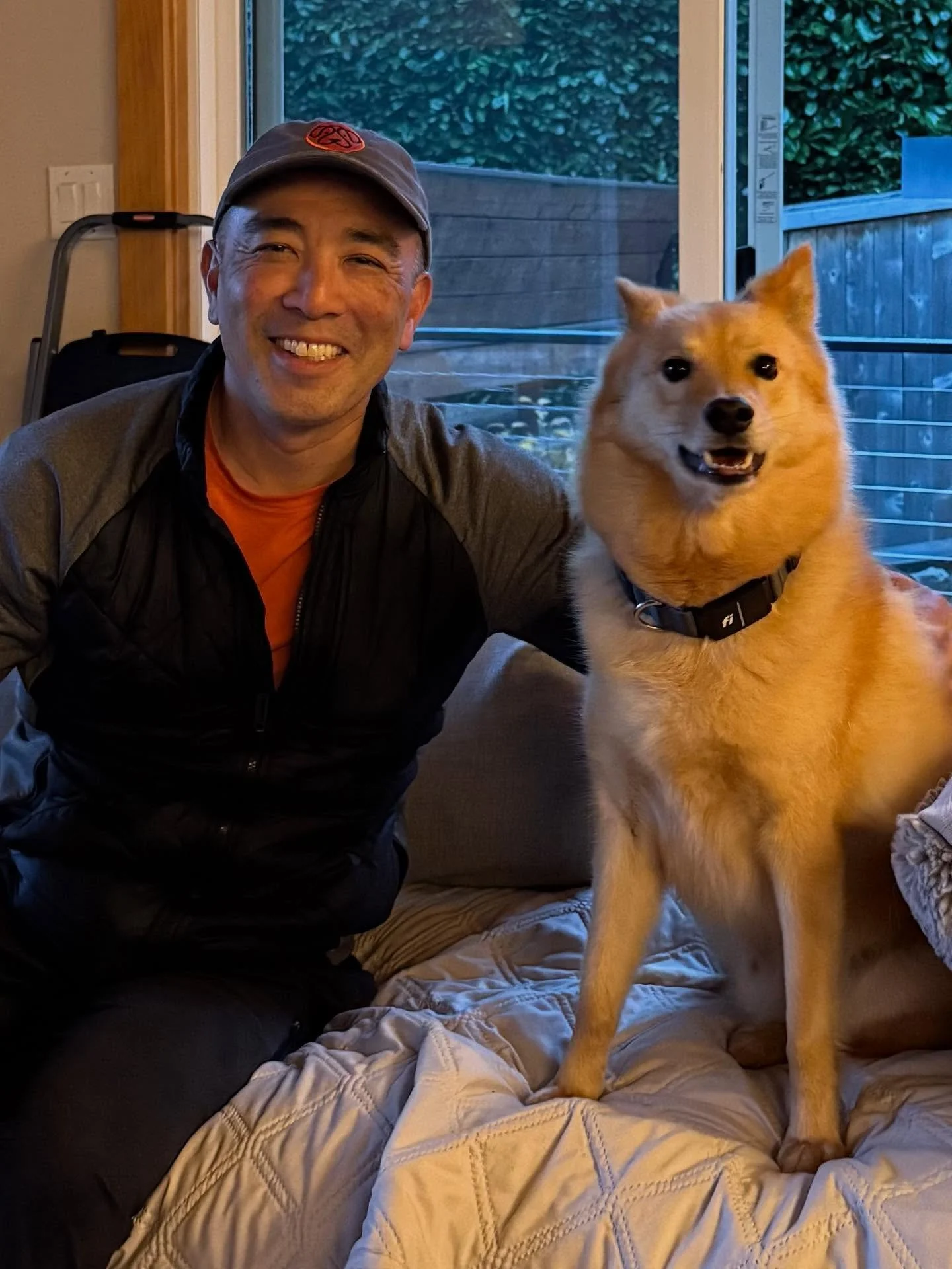 Here’s Boas! A 4 yr old Finnish Spitz who loves his quiet home watching life go by. Over the past 2 years, he’s had a noticeable shift in energy and no longer any leash reactivity but more challenges in public locations leading to demand