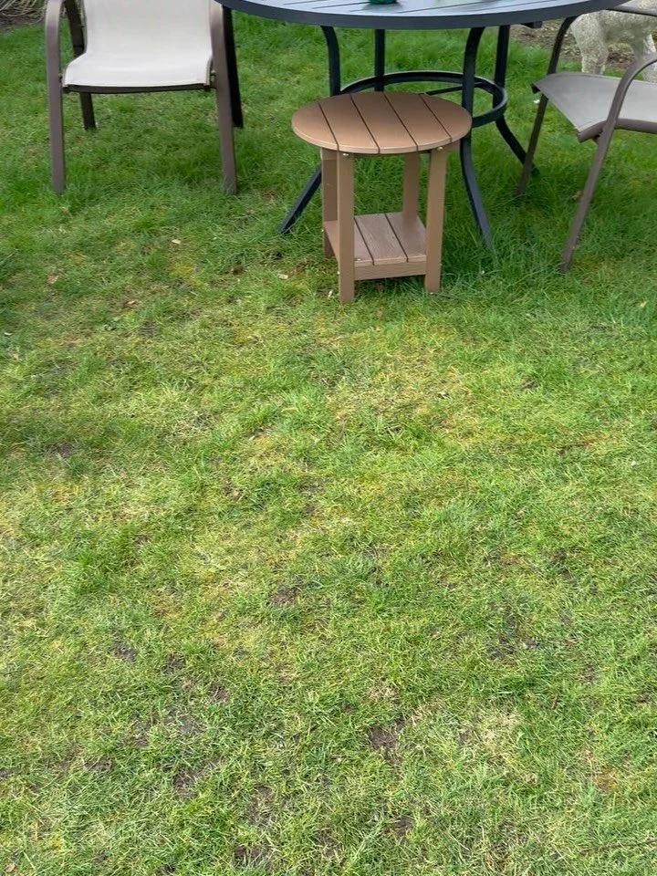 Here&rsquo;s Daisy and Evie! Evie is a 1 yr old Maltese/Poodle/Dachshund rescue mix who loves to go on walks but will occasionally bark at other dogs but likes to engage new friends. Teaching her new boundaries and protocols to manage potty behaviors