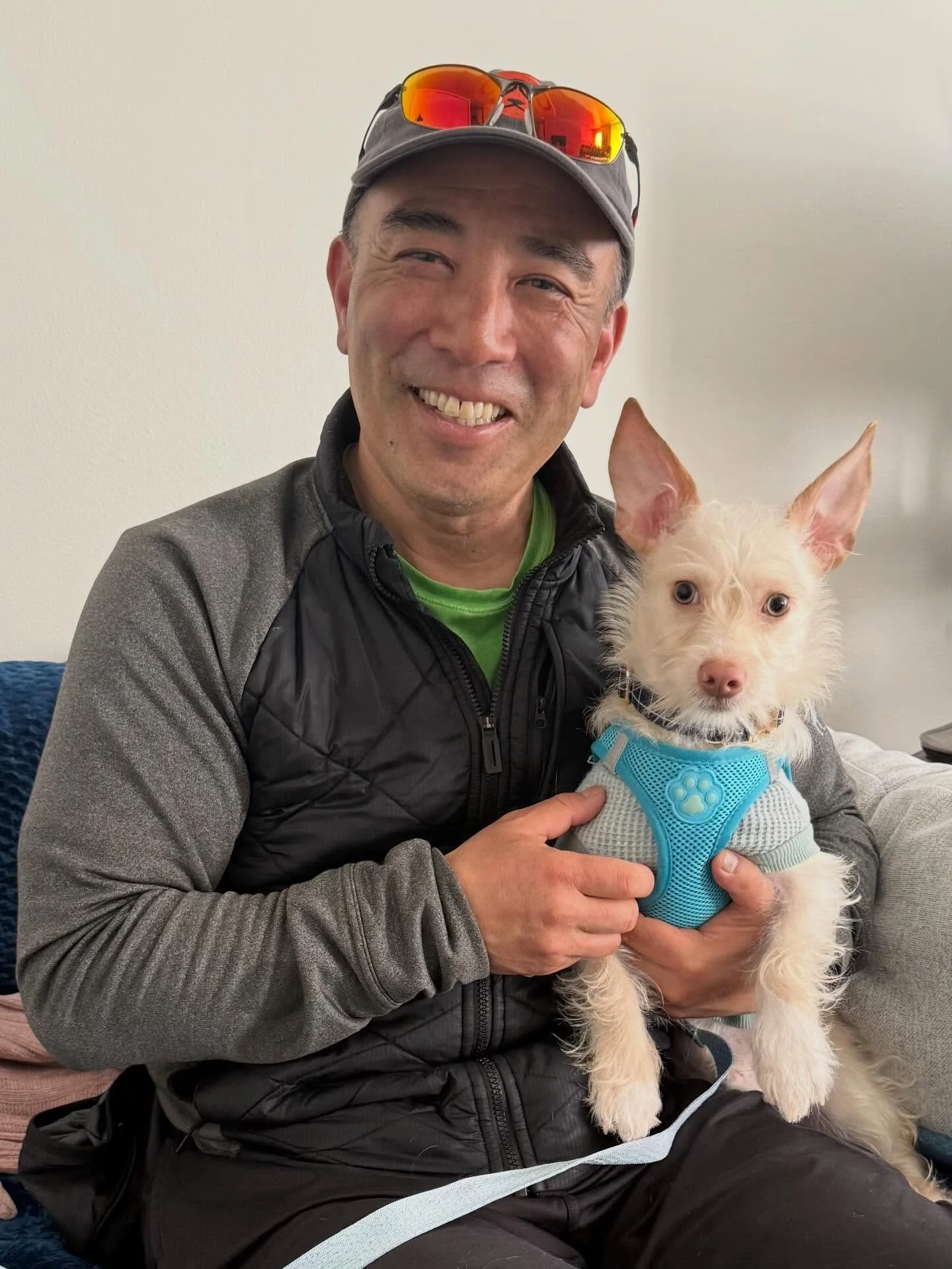 Here&rsquo;s Dominique! An 8 month old Scottish Terrier who came from family in Mexico and is now on his own learning skills to be more independent and reducing separation anxiety. Educated owner how to slowly establish exercises to create manageable