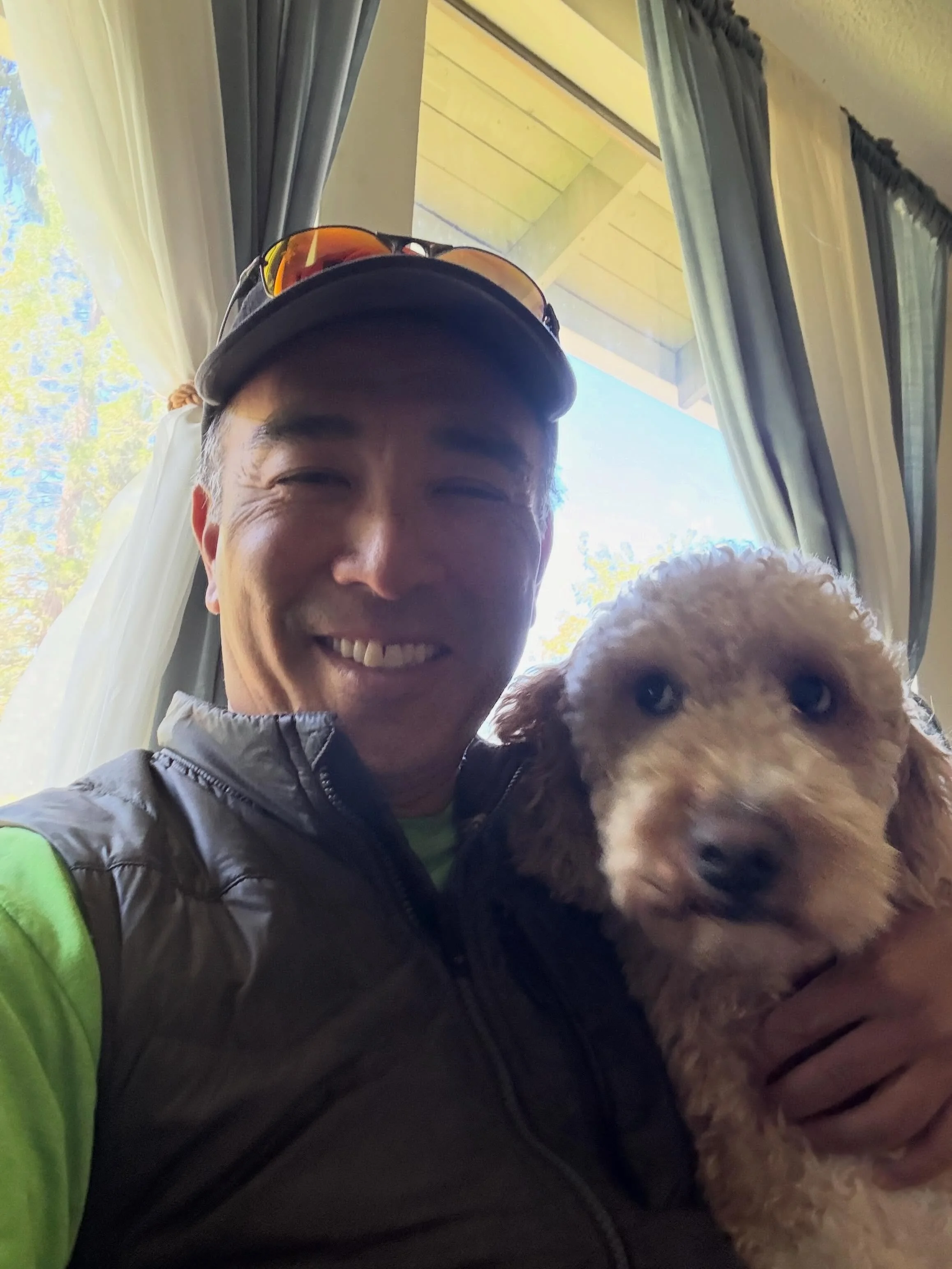 Here&rsquo;s Lily! A 22 mo old Mini Bernese Goldendoodle who gets very aroused and excitable when guests arrive sometimes leading to submissive urination and restlessness. Educated owner on easy strategies to better support her emotionally and change