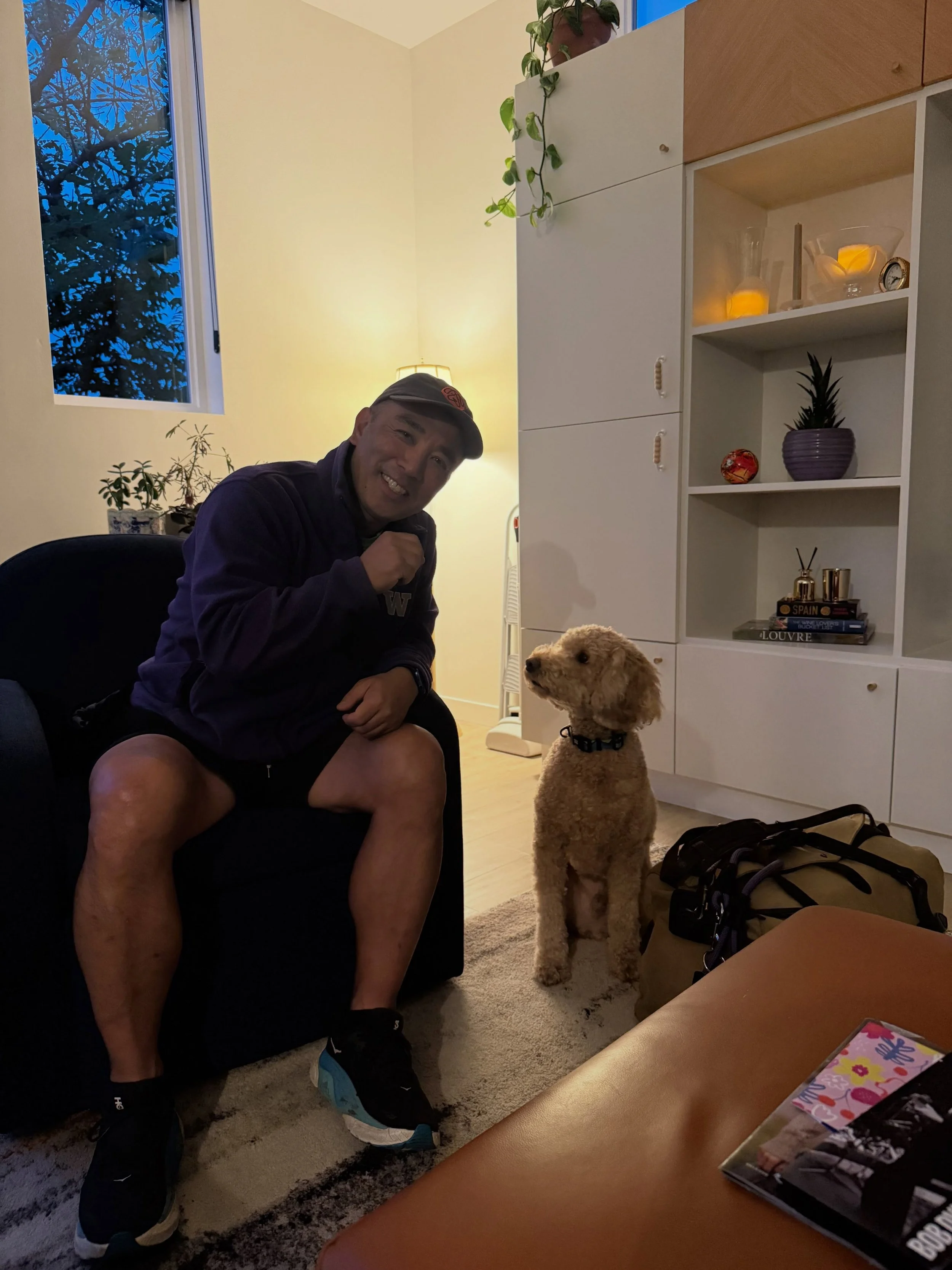 Here&rsquo;s Chili! A now 4 yr old Mini Goldendoodle who is anxious, needs repeated exposure with support to manage new visitors and prefers to not be petted in any unsolicited way. Once he has established a connection and trust, he does much better 
